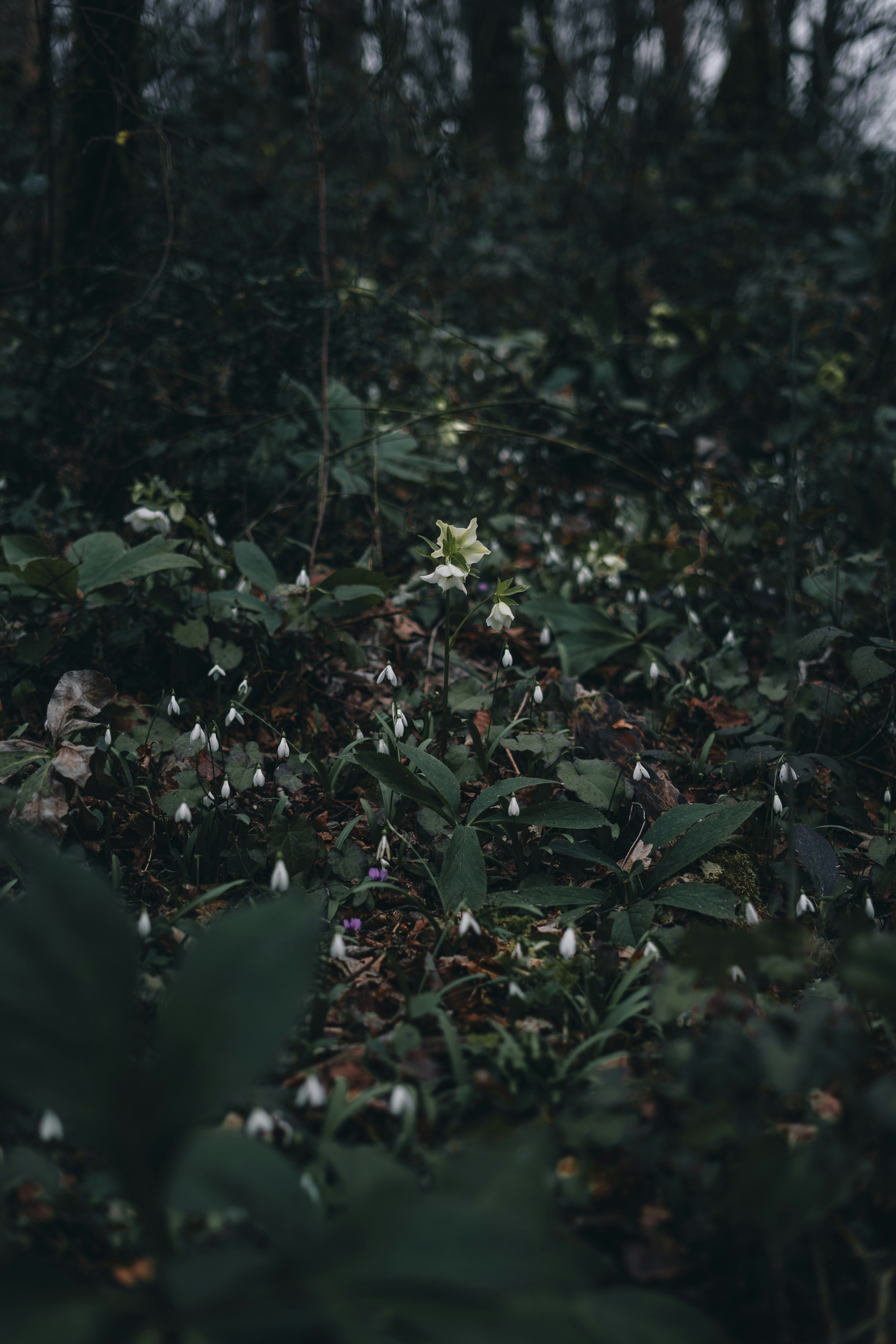 Photo by volkova_2897