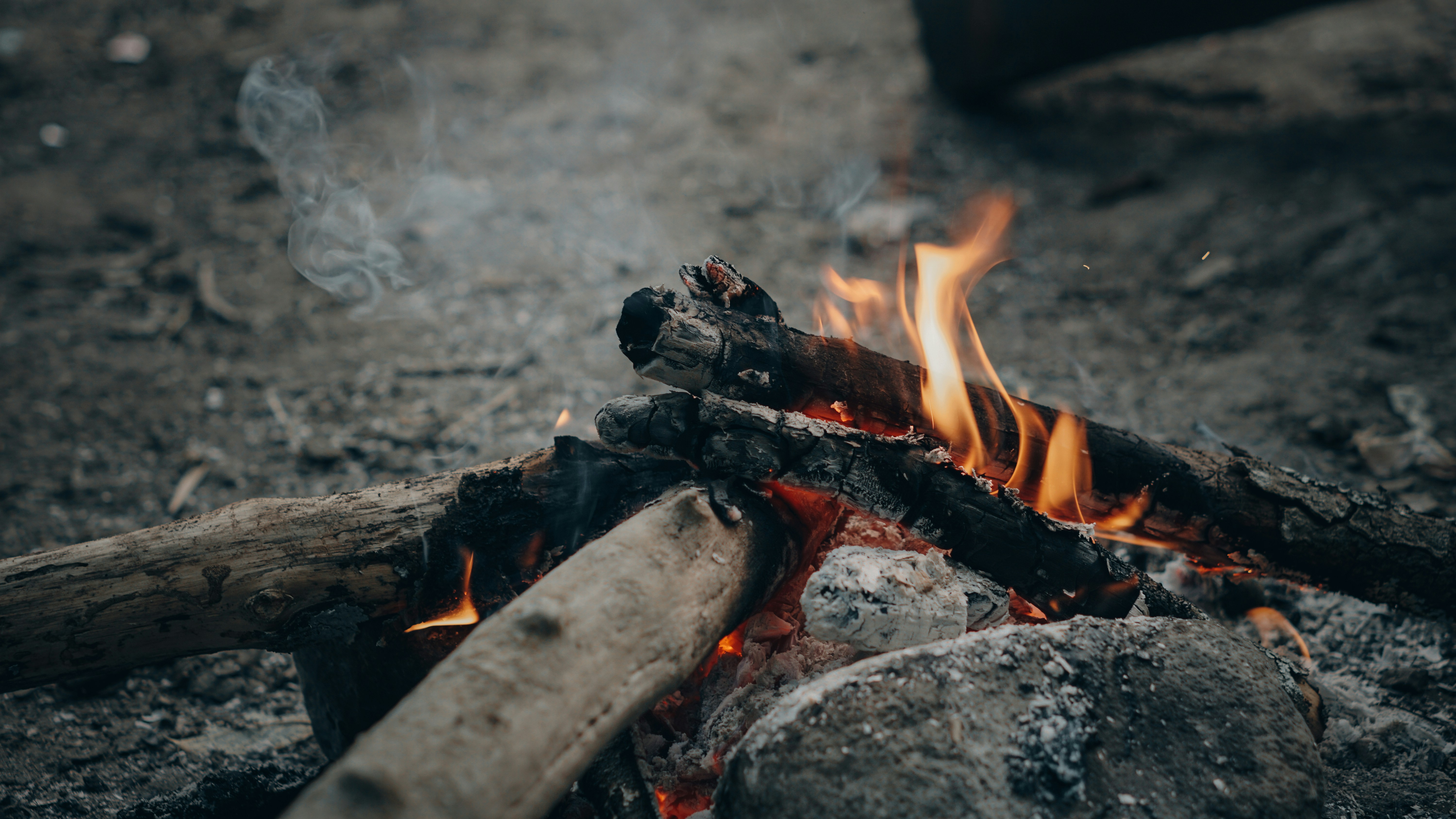 Photo by treznow_1998