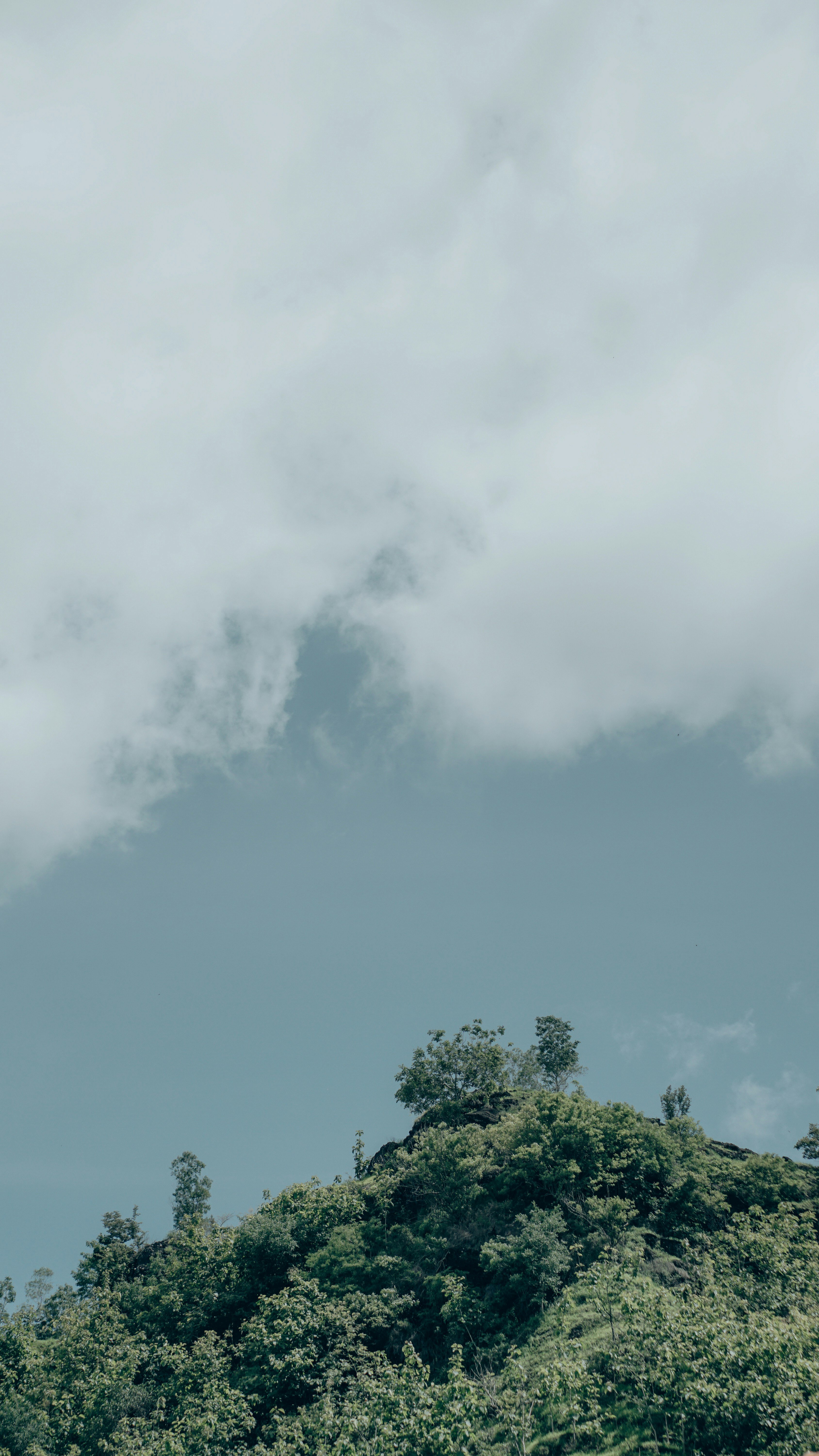 Photo by treznow_1998