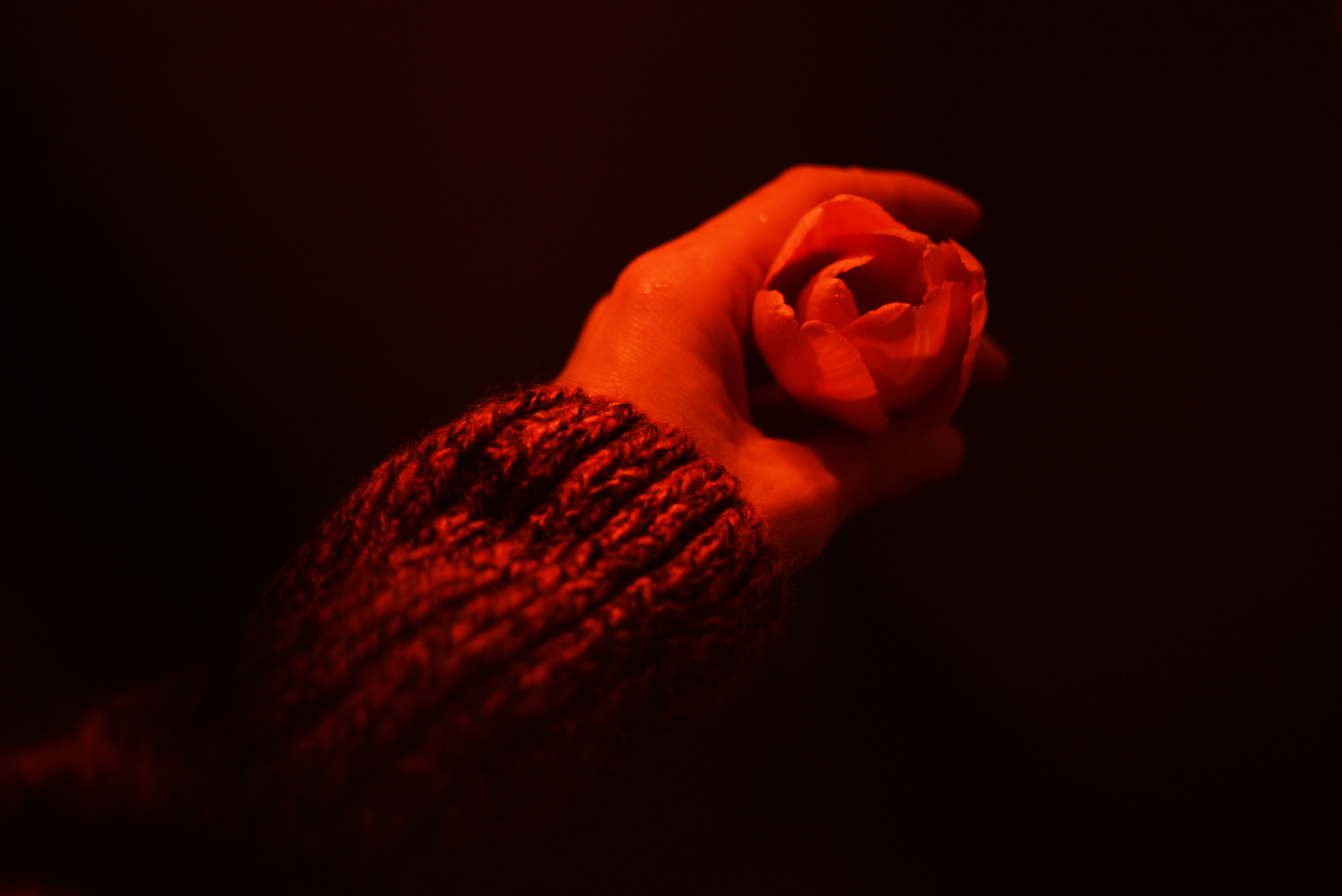 Photo by cherstve_pechivo