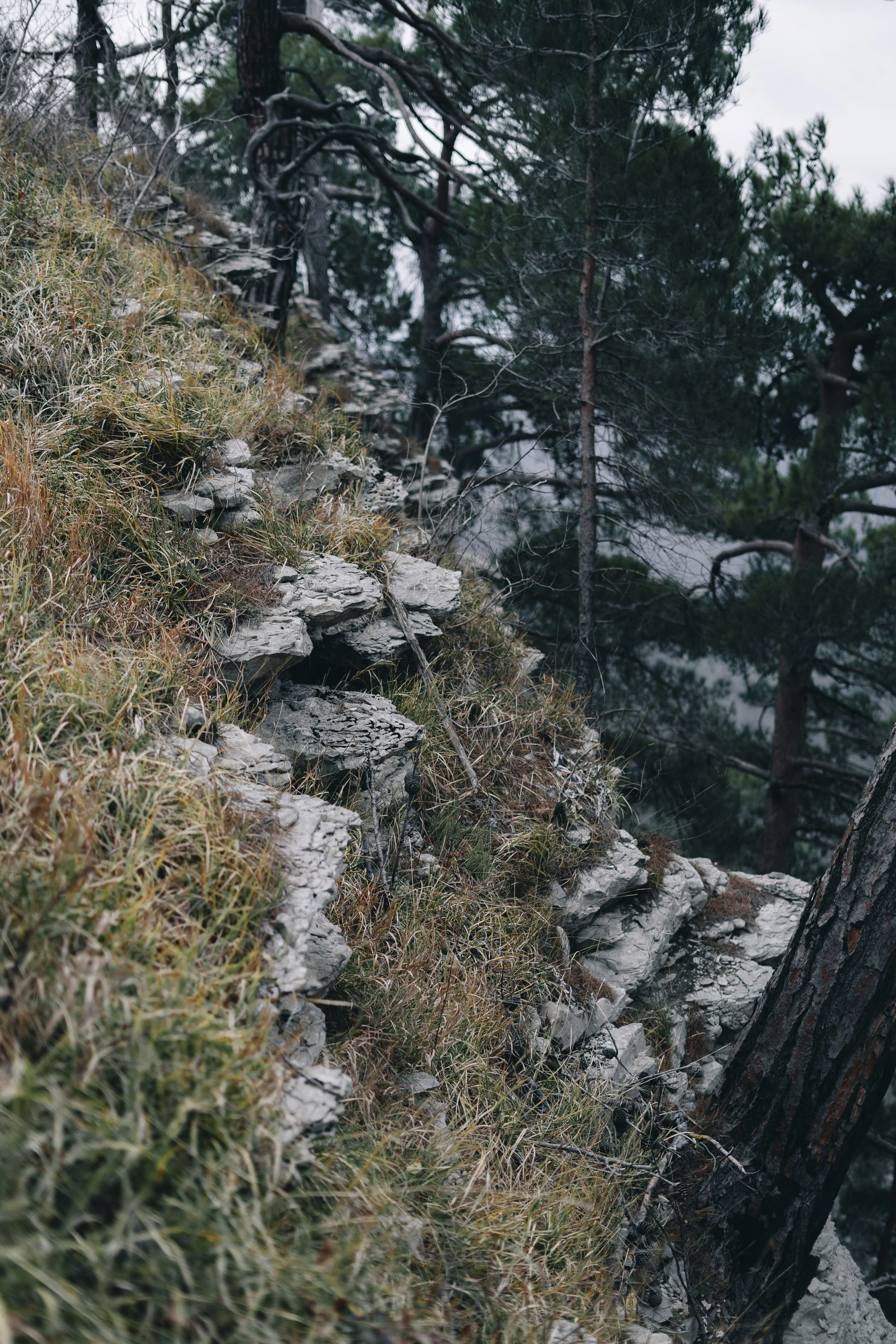 Photo by volkova_2897