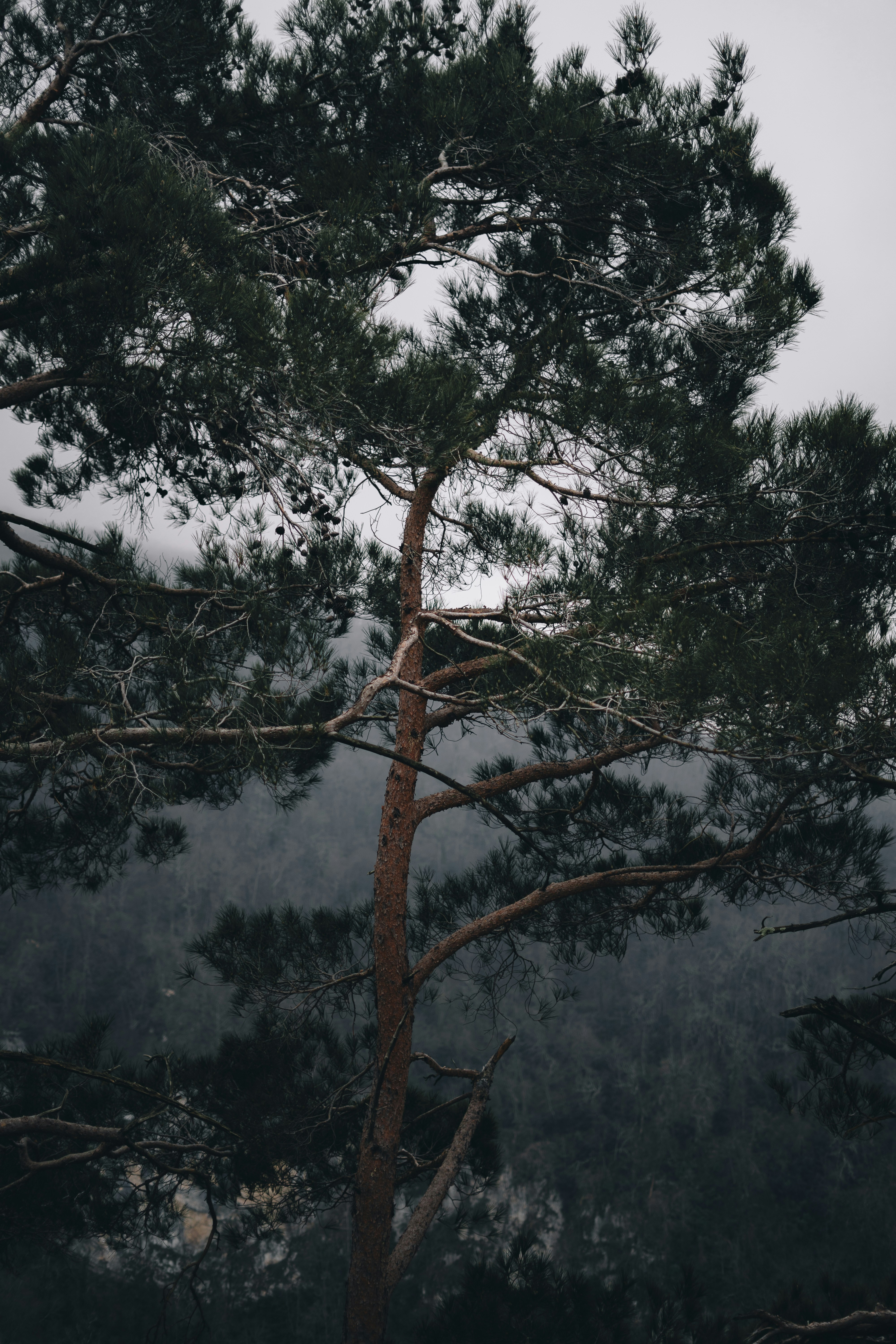 Photo by volkova_2897