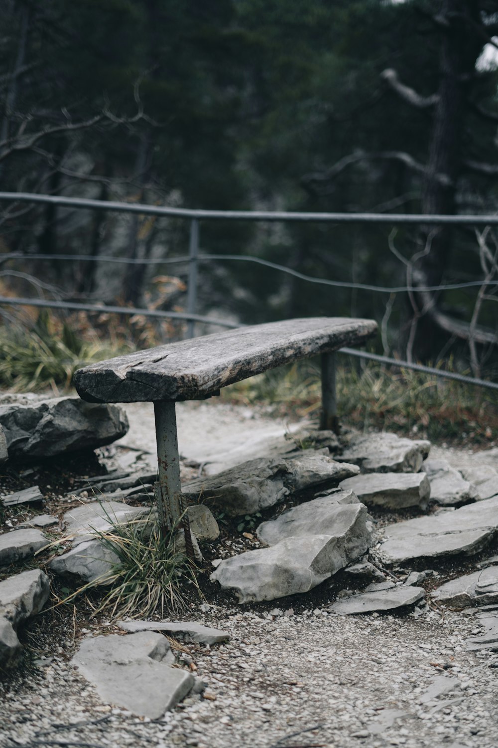 a stone bench sitting in the middle of a forest