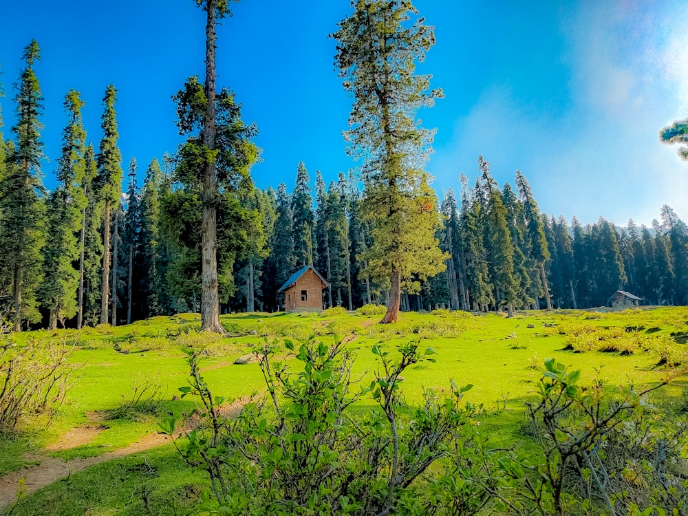 a house in the middle of a field surrounded by trees