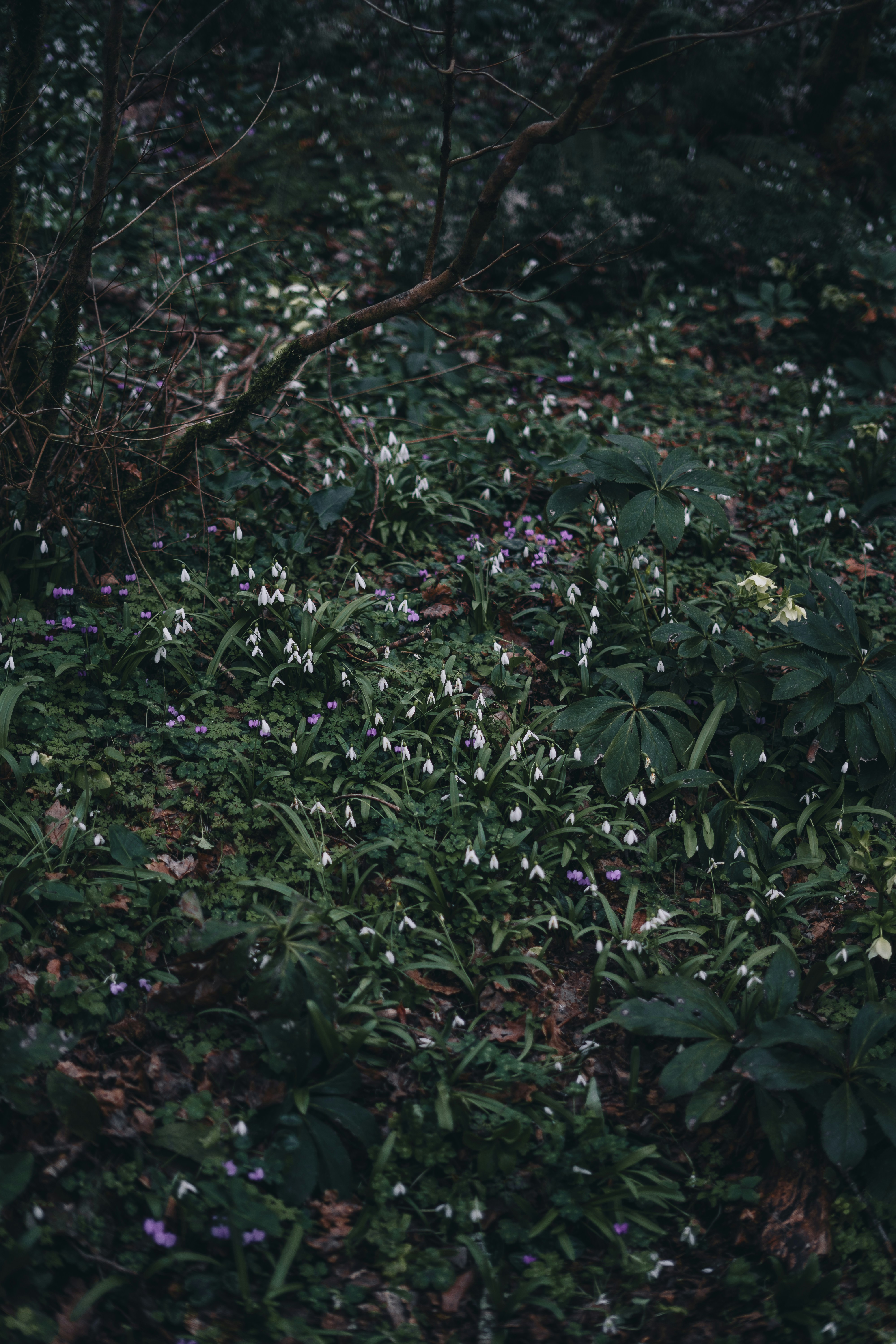 Photo by volkova_2897