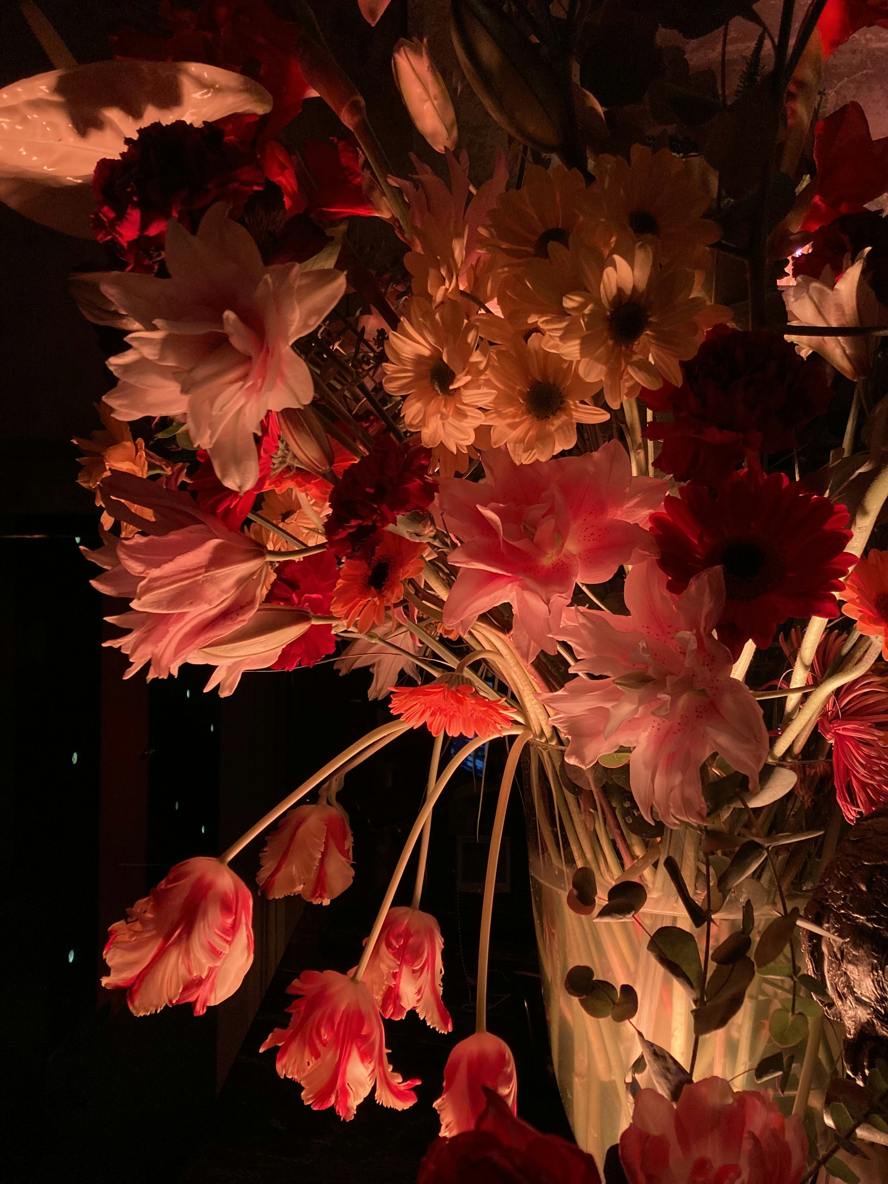 Photo by marinabaranova