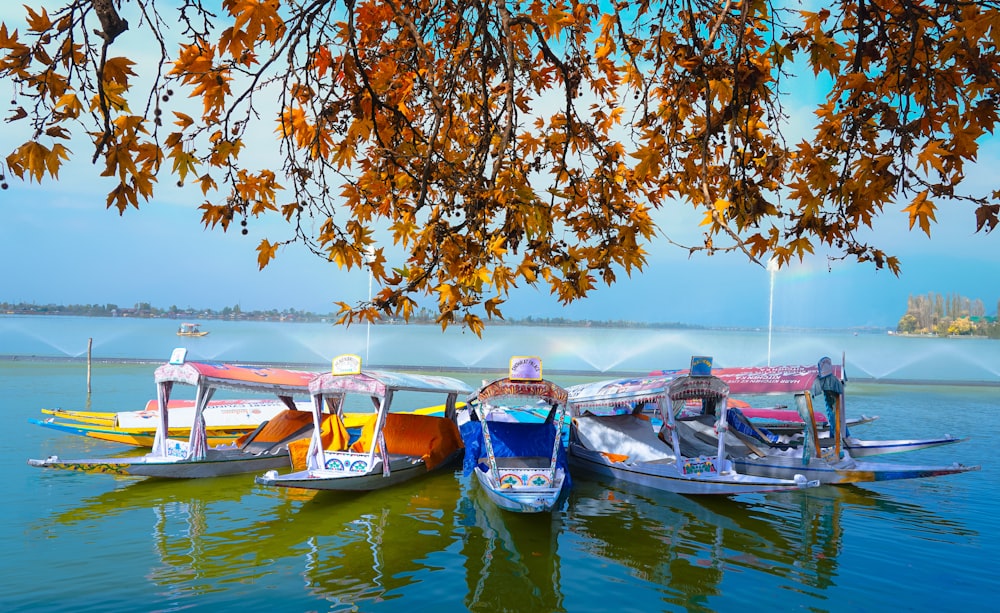 a couple of boats that are sitting in the water