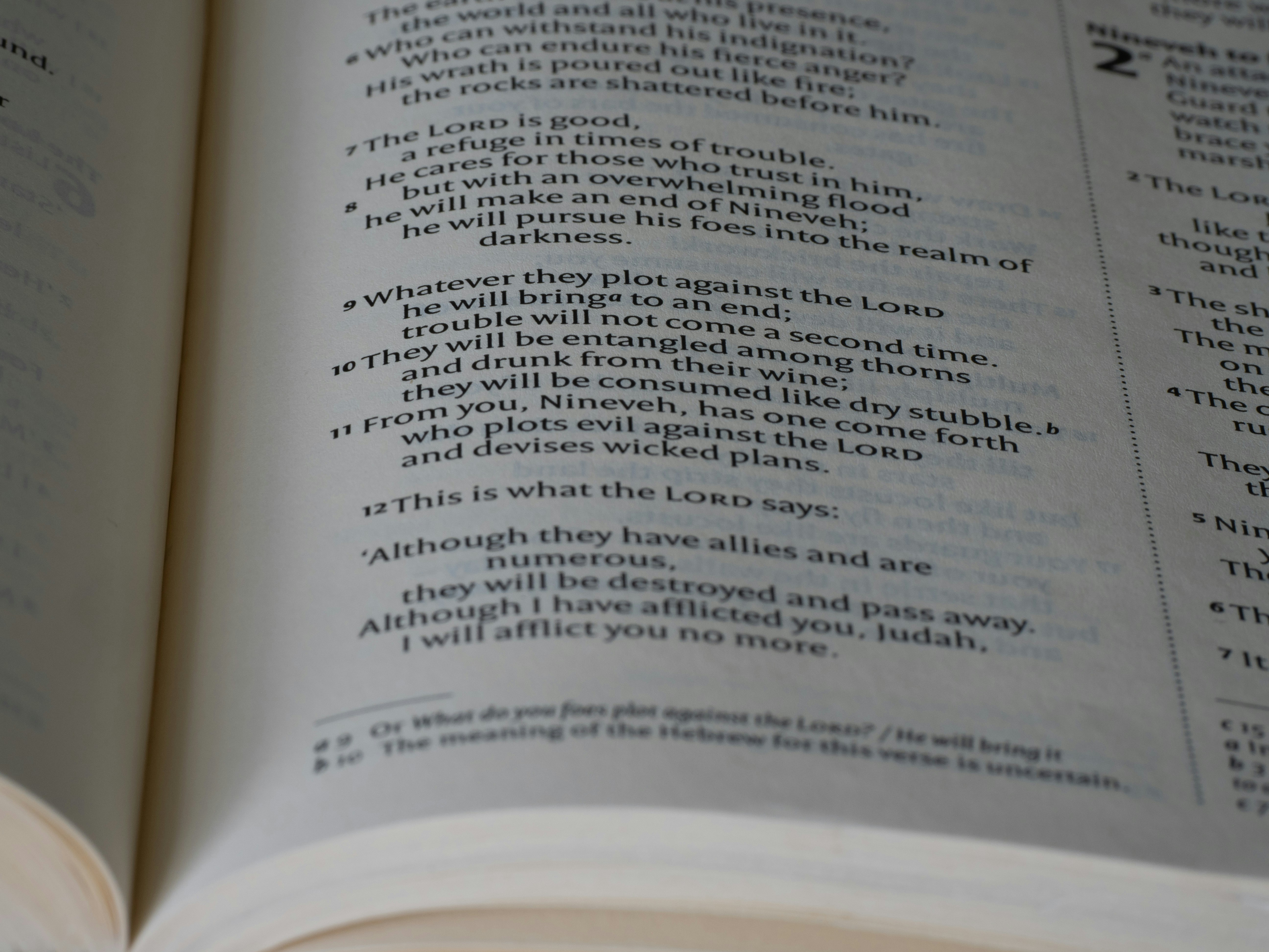 Photo by brett_jordan