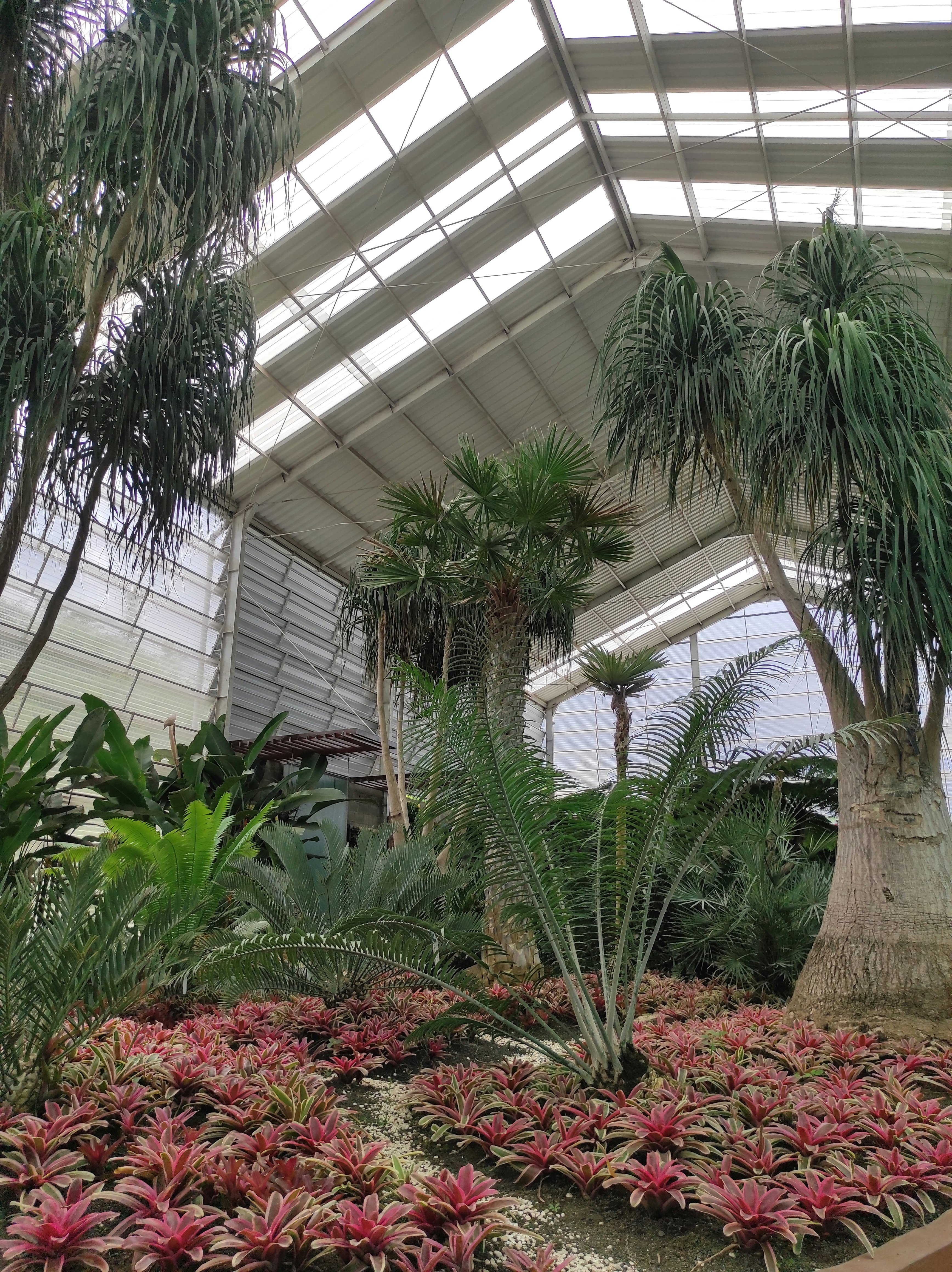 Photo by apeculiarreader