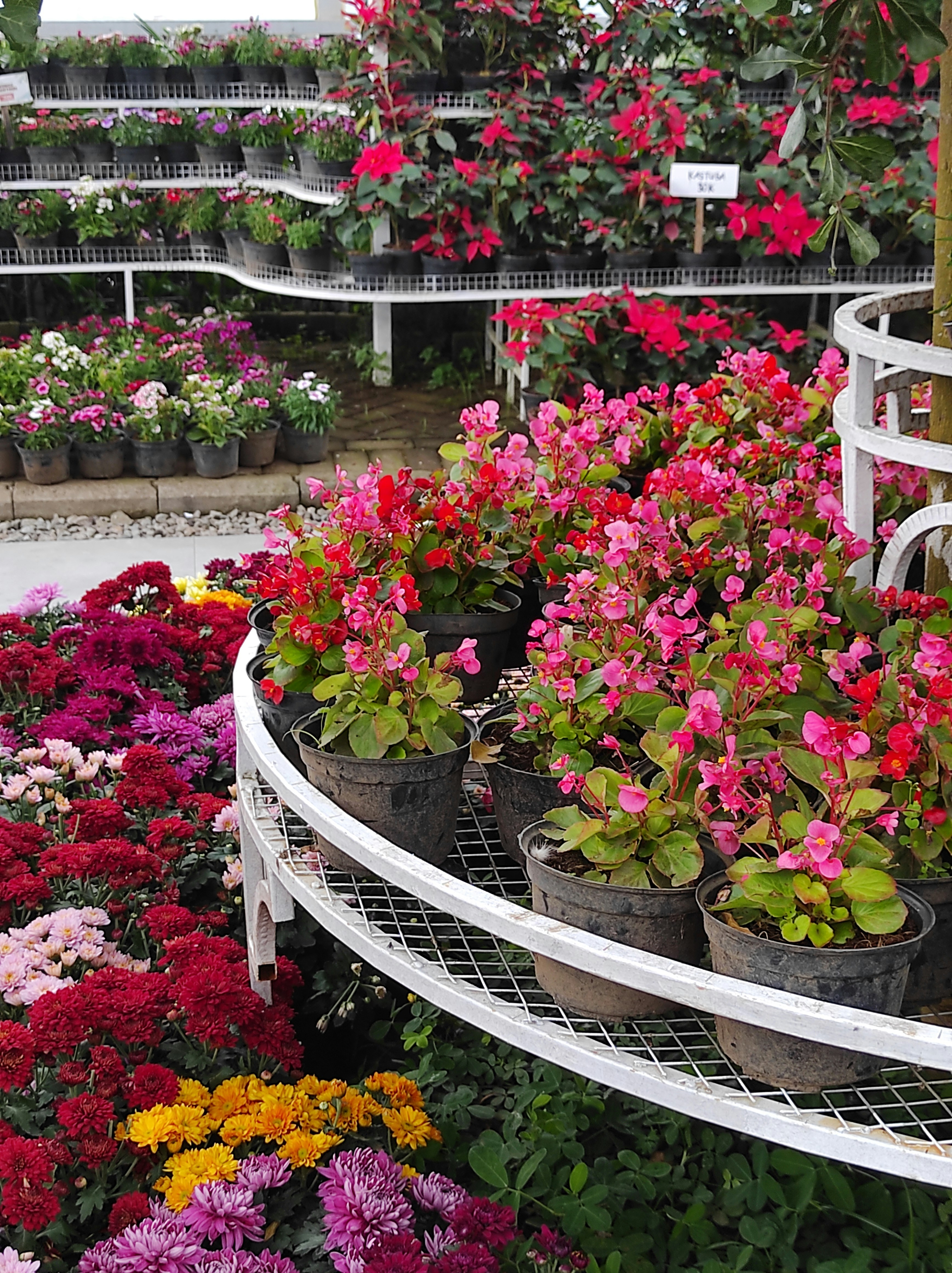 Photo by apeculiarreader