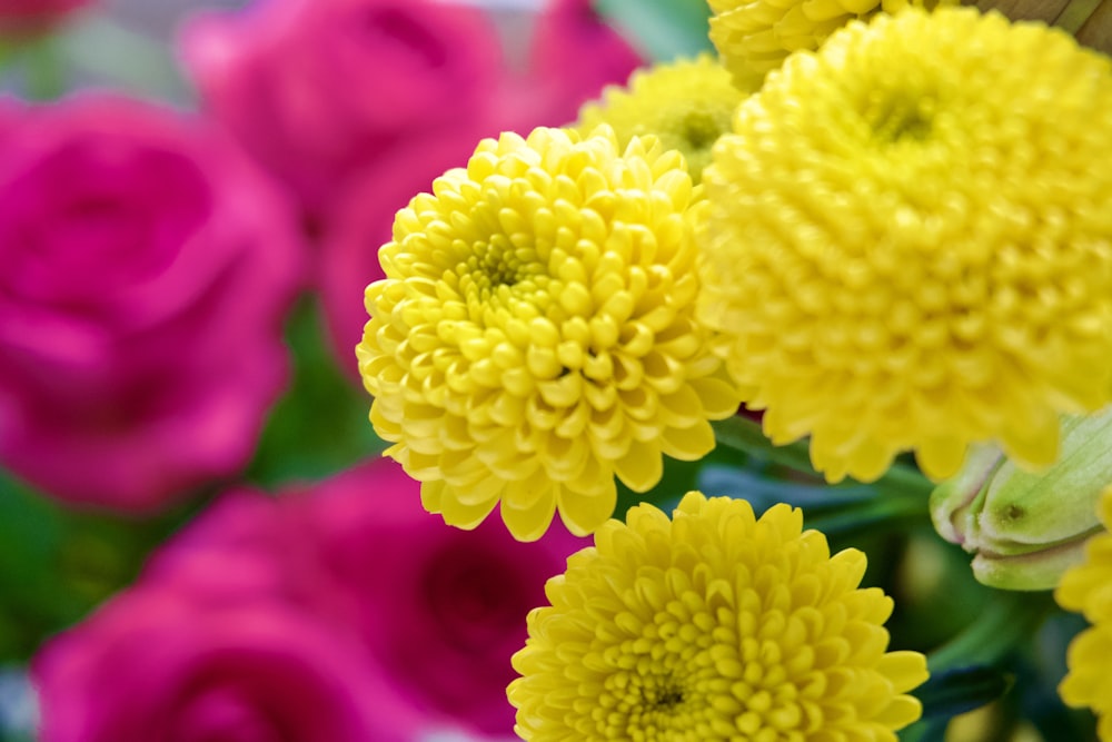 a bunch of yellow and pink flowers in a vase