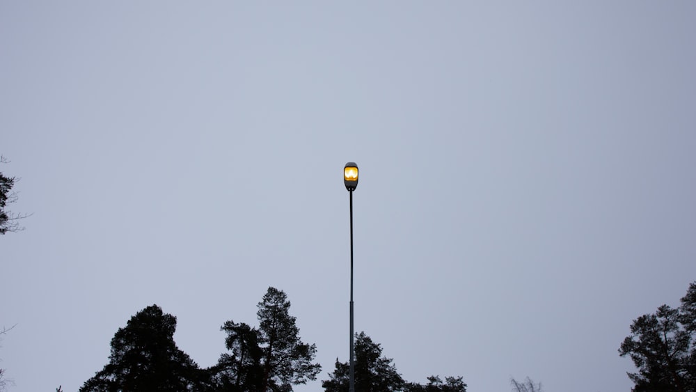 a street light with trees in the background