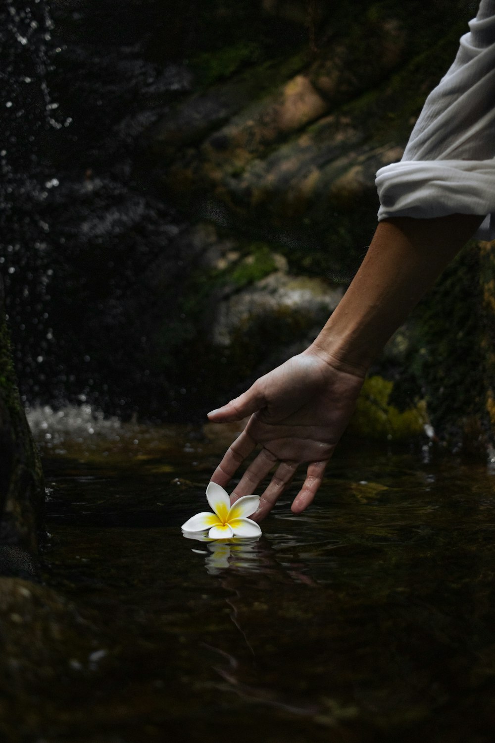 a person reaching for a flower in the water