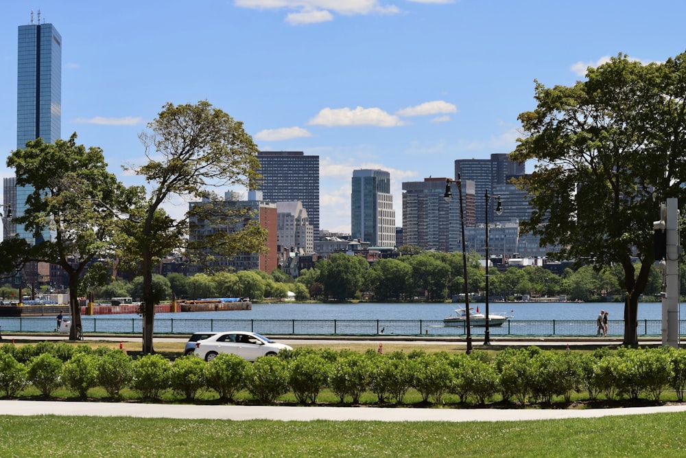 a white car is parked in a park near the water