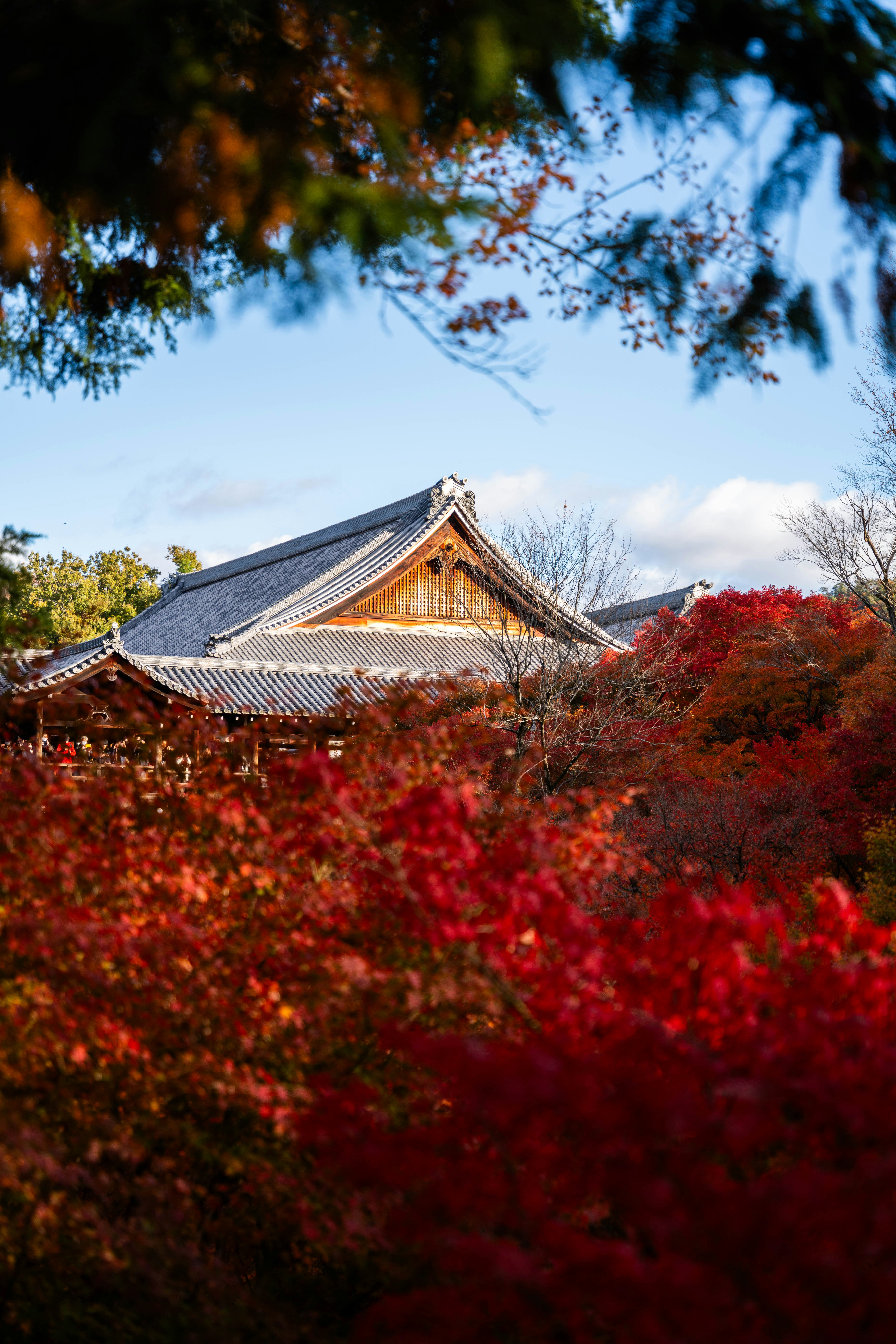 Photo by davidemrich