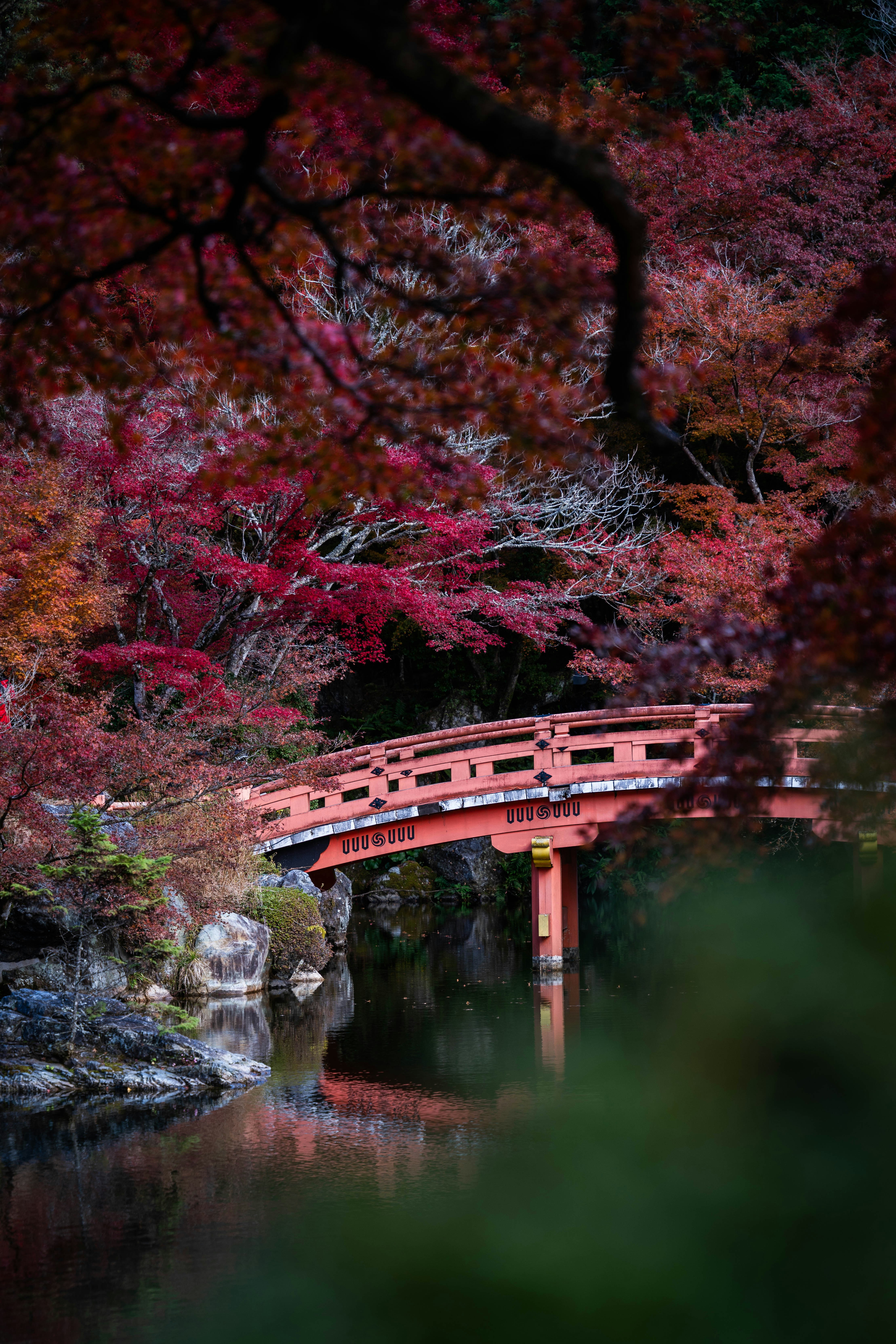 Photo by davidemrich