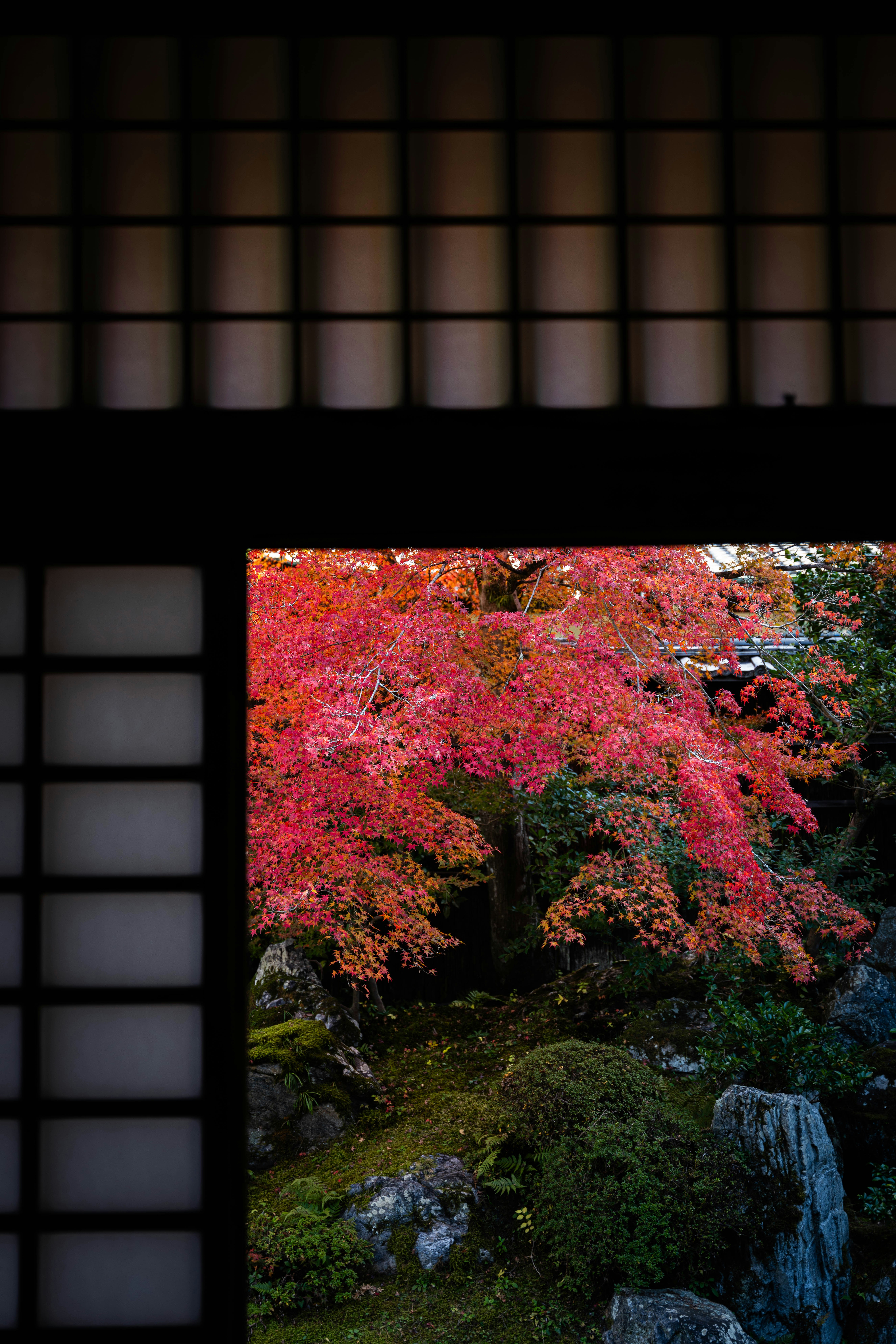 Photo by davidemrich