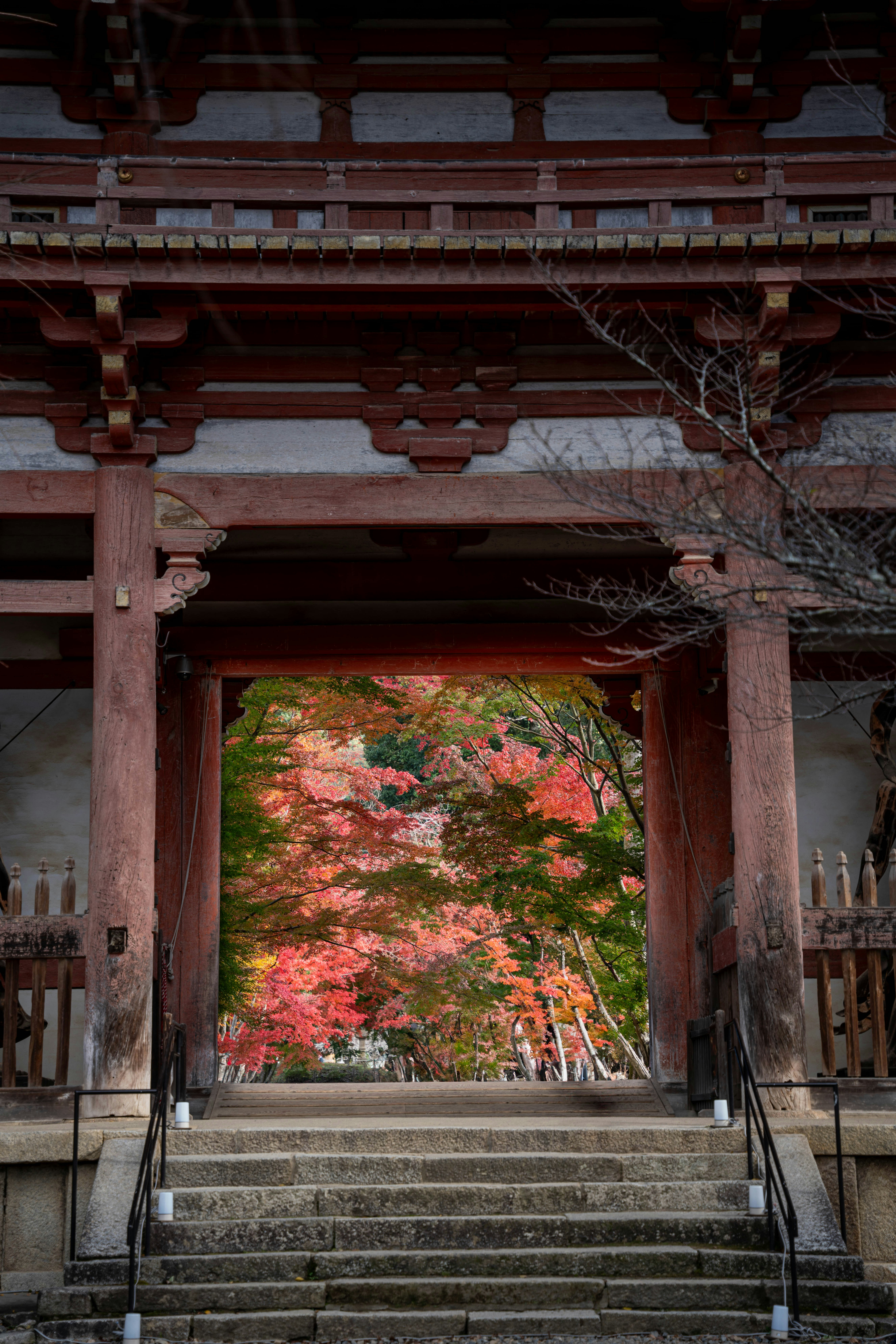 Photo by davidemrich