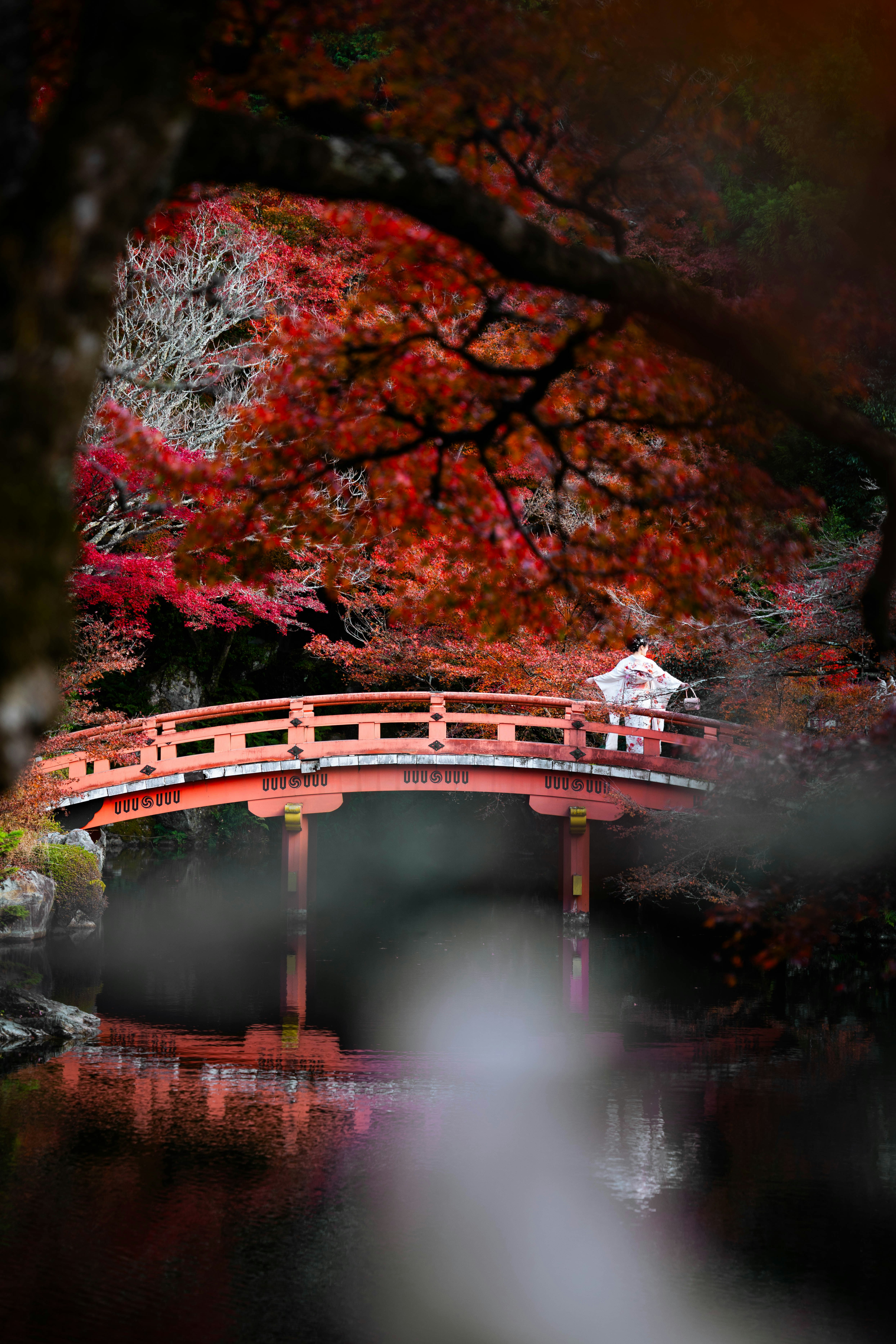 Photo by davidemrich