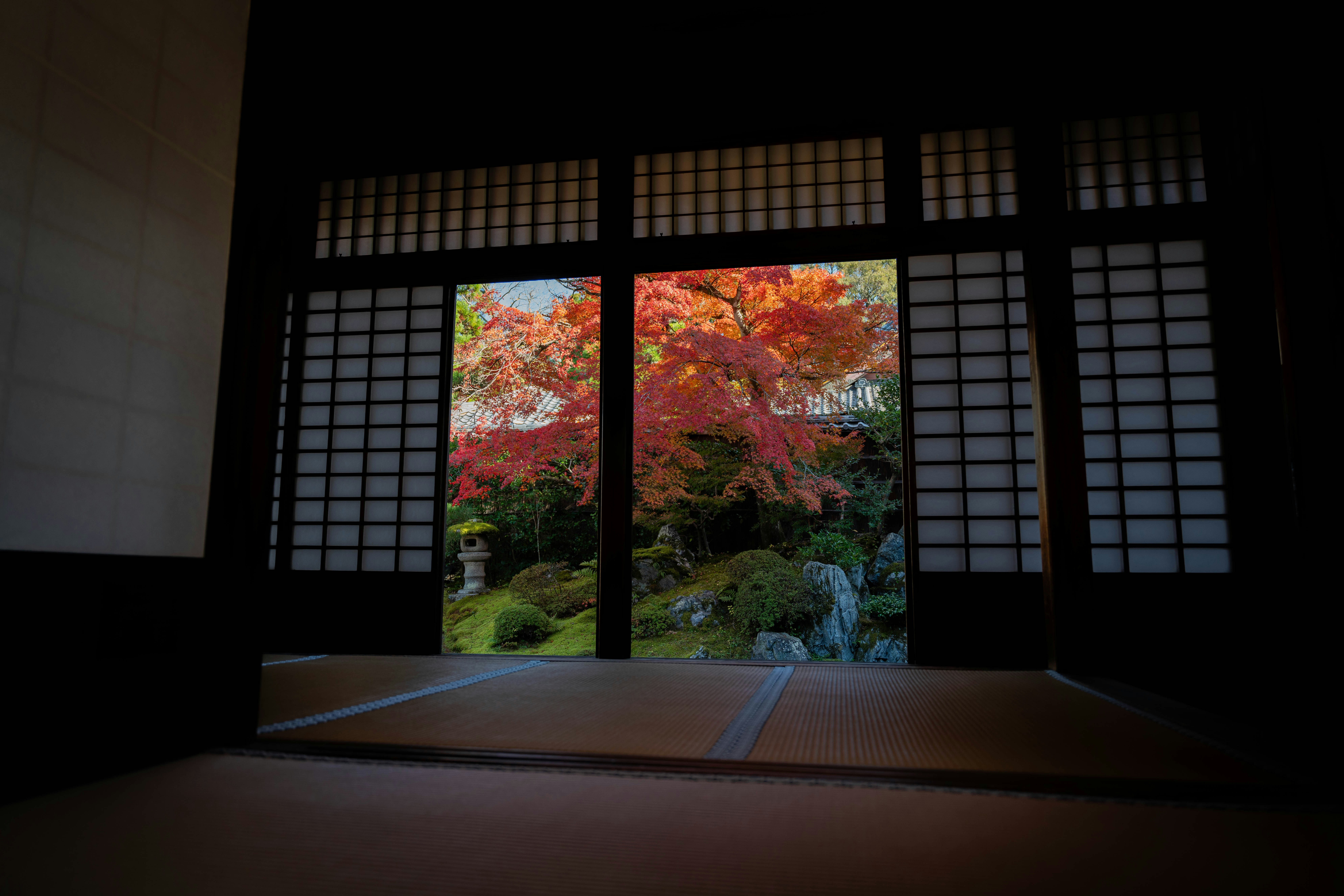 Photo by davidemrich