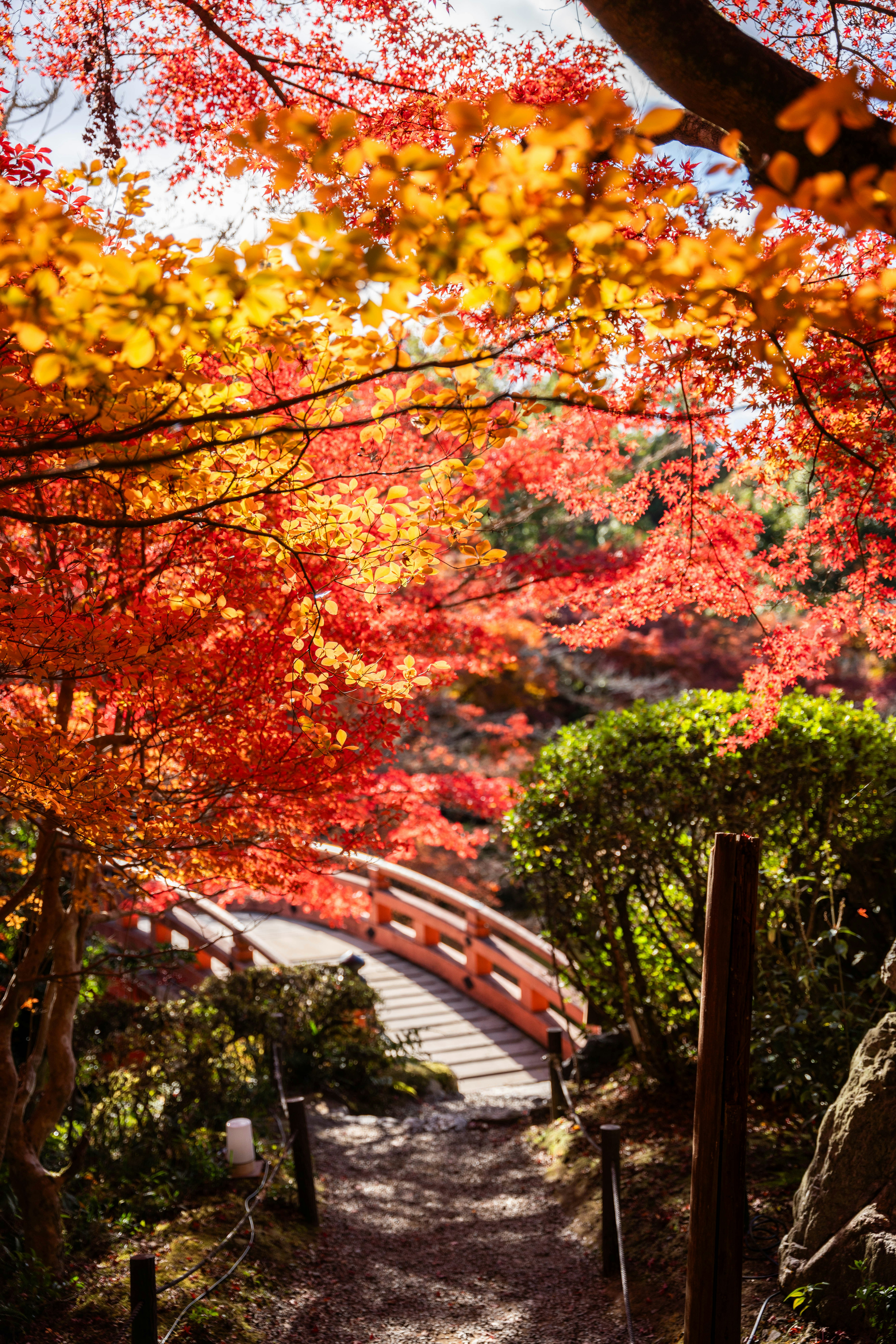 Photo by davidemrich