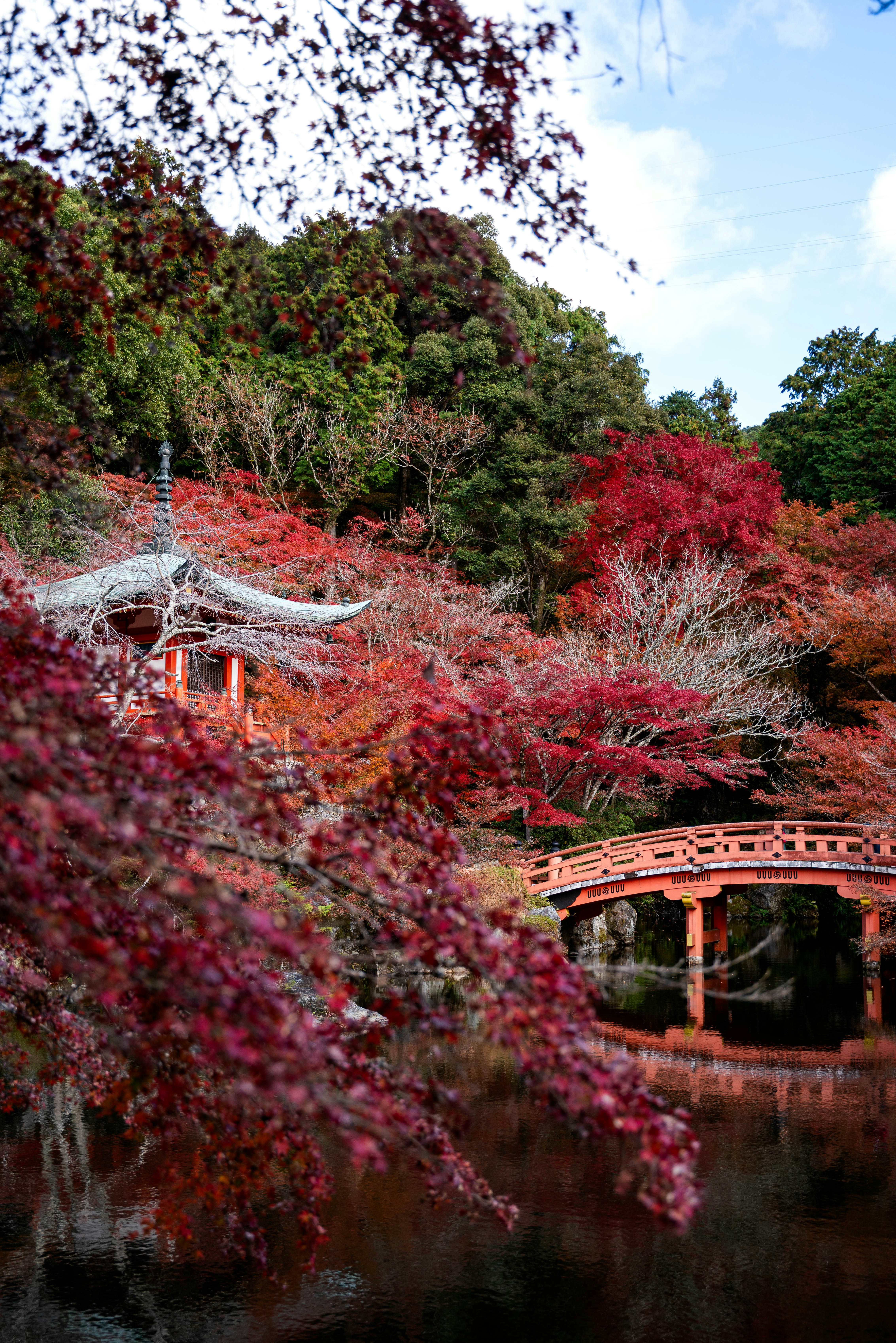 Photo by davidemrich