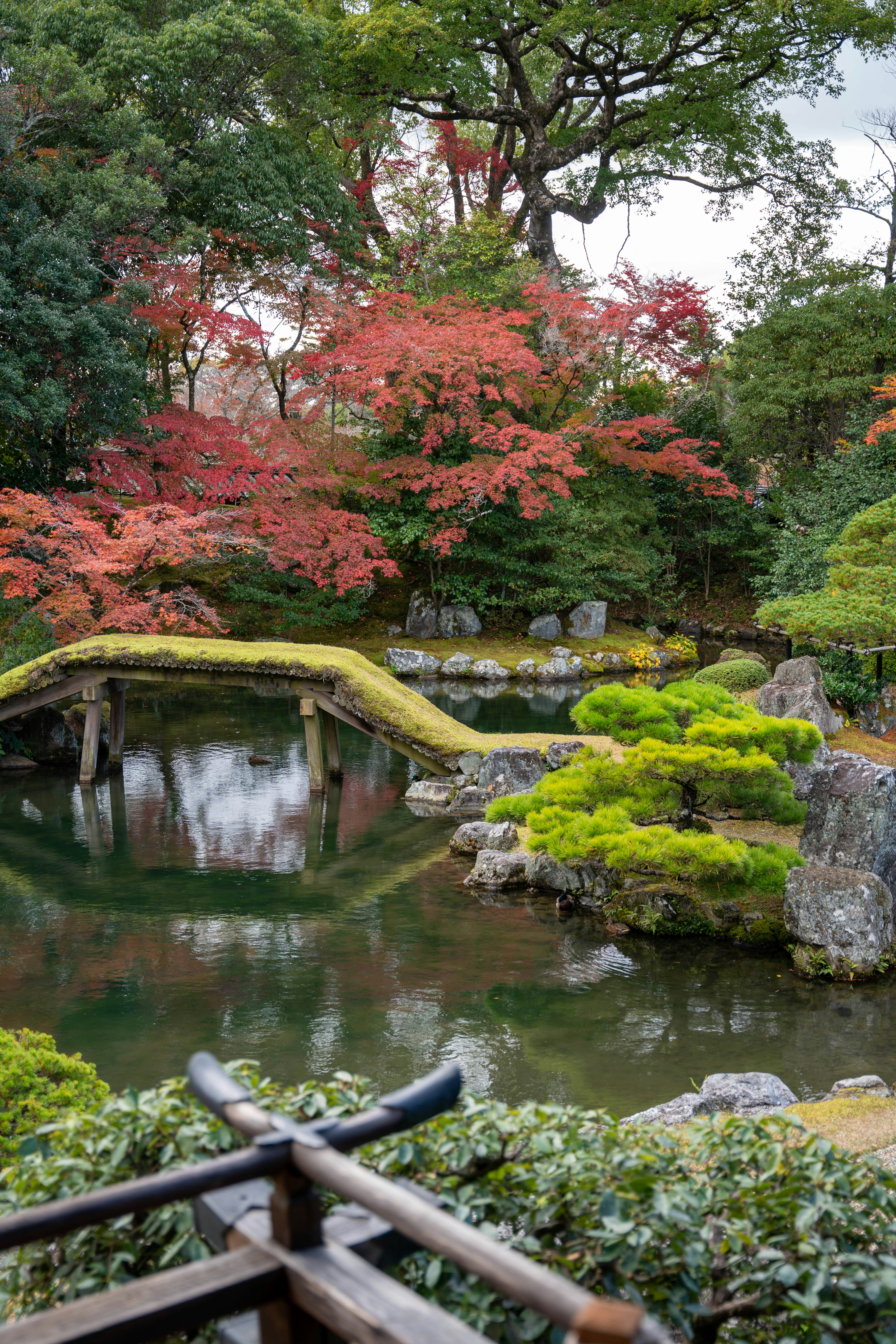 Photo by davidemrich