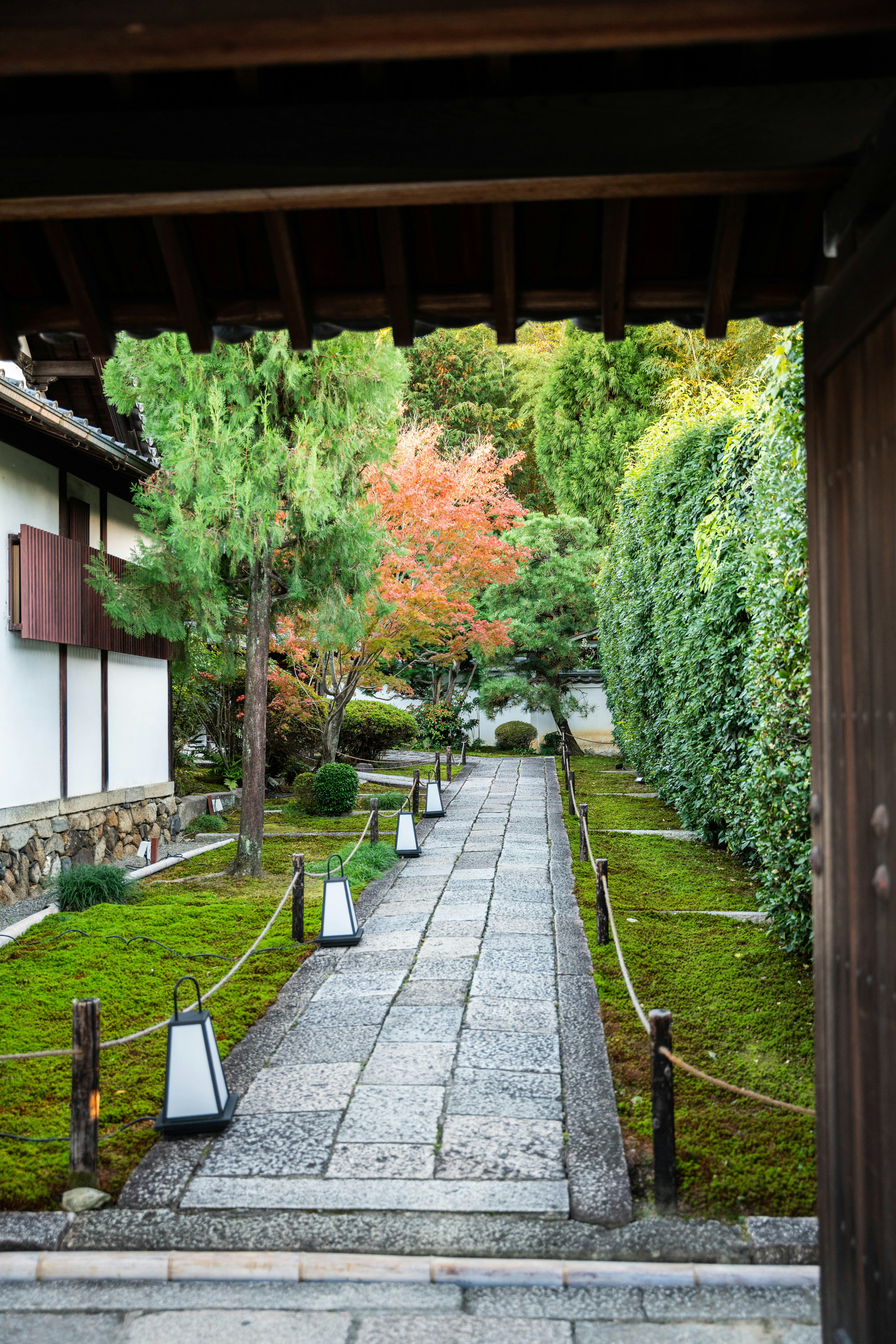 Photo by davidemrich