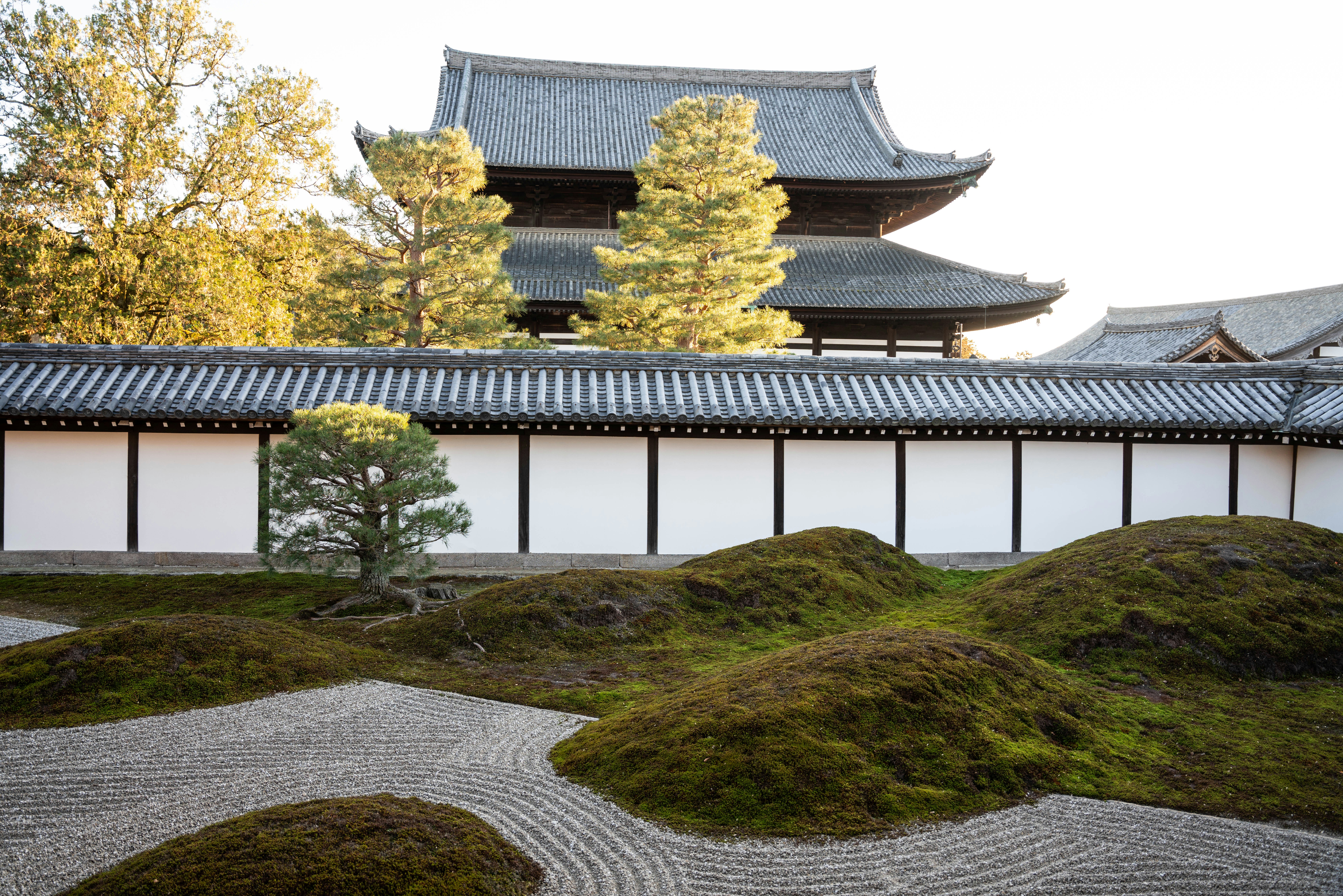 Photo by davidemrich