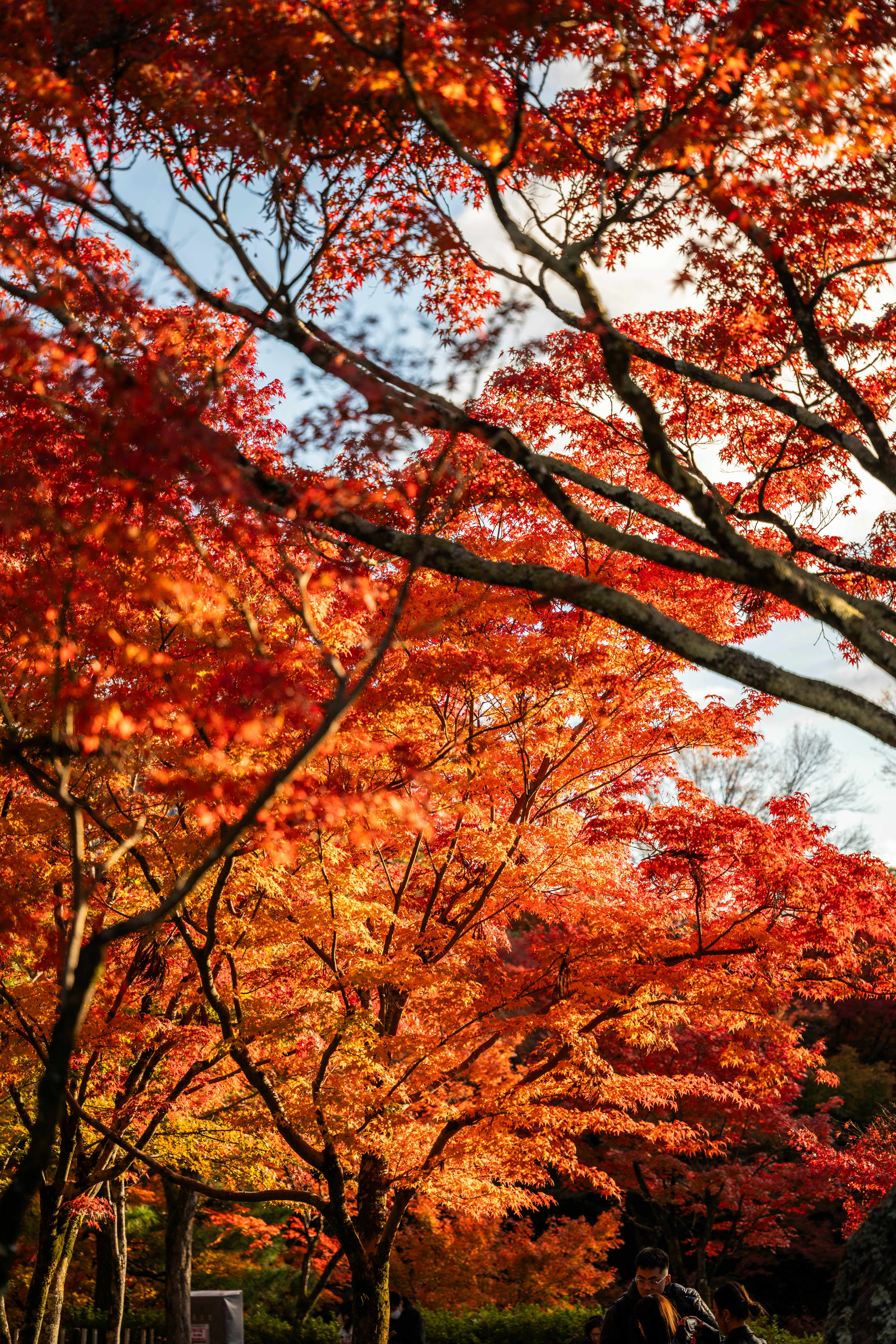 Photo by davidemrich