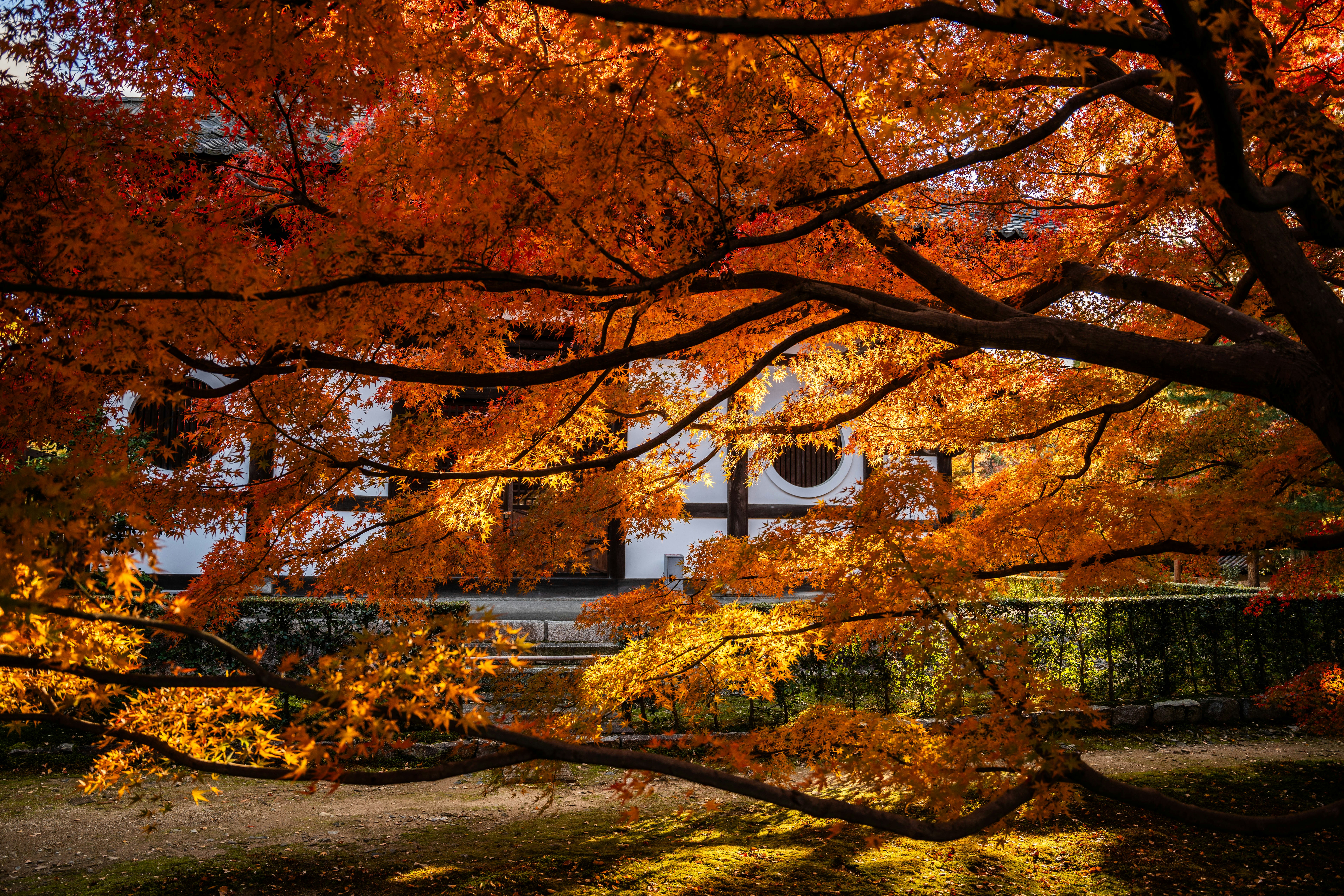 Photo by davidemrich