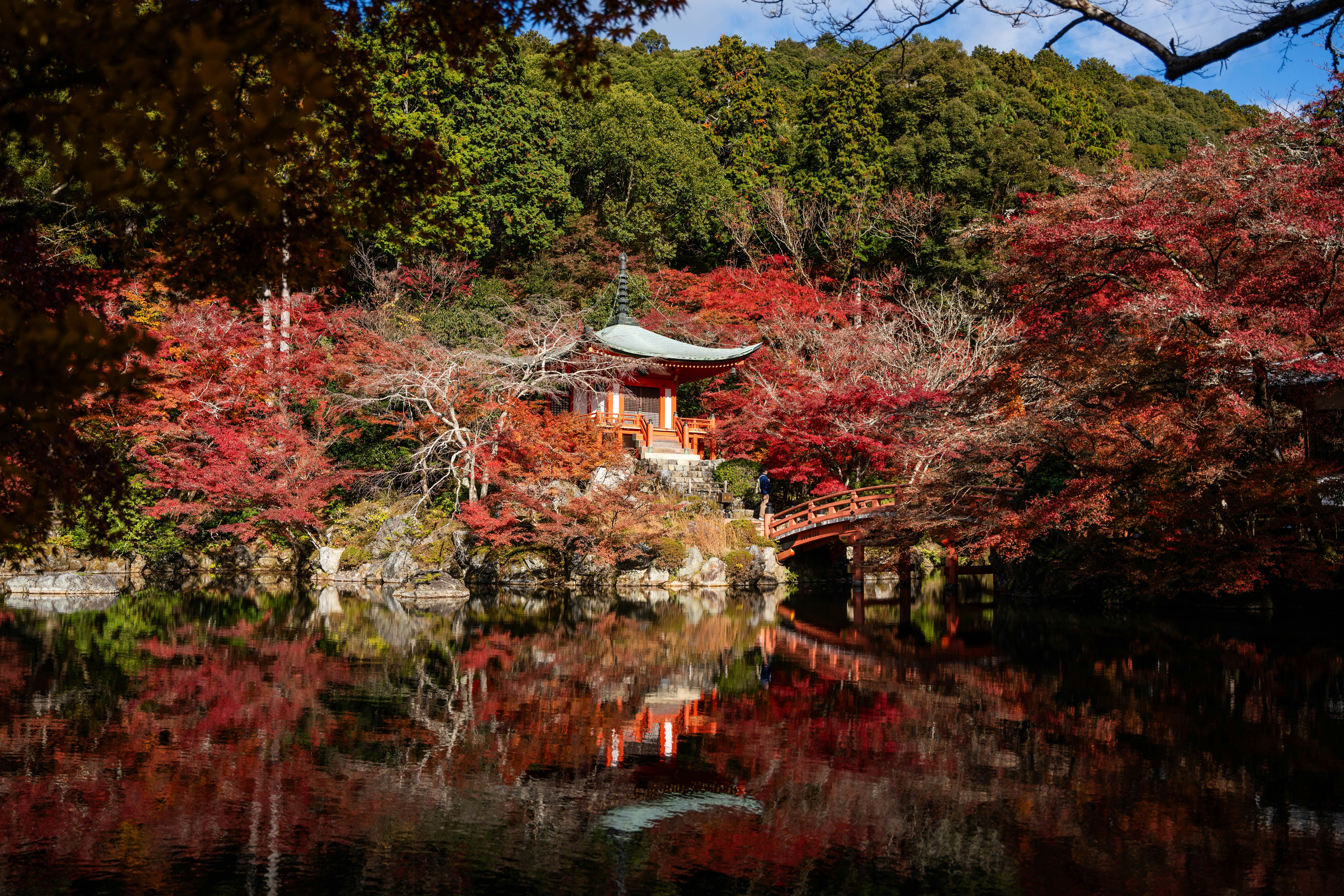 Photo by davidemrich