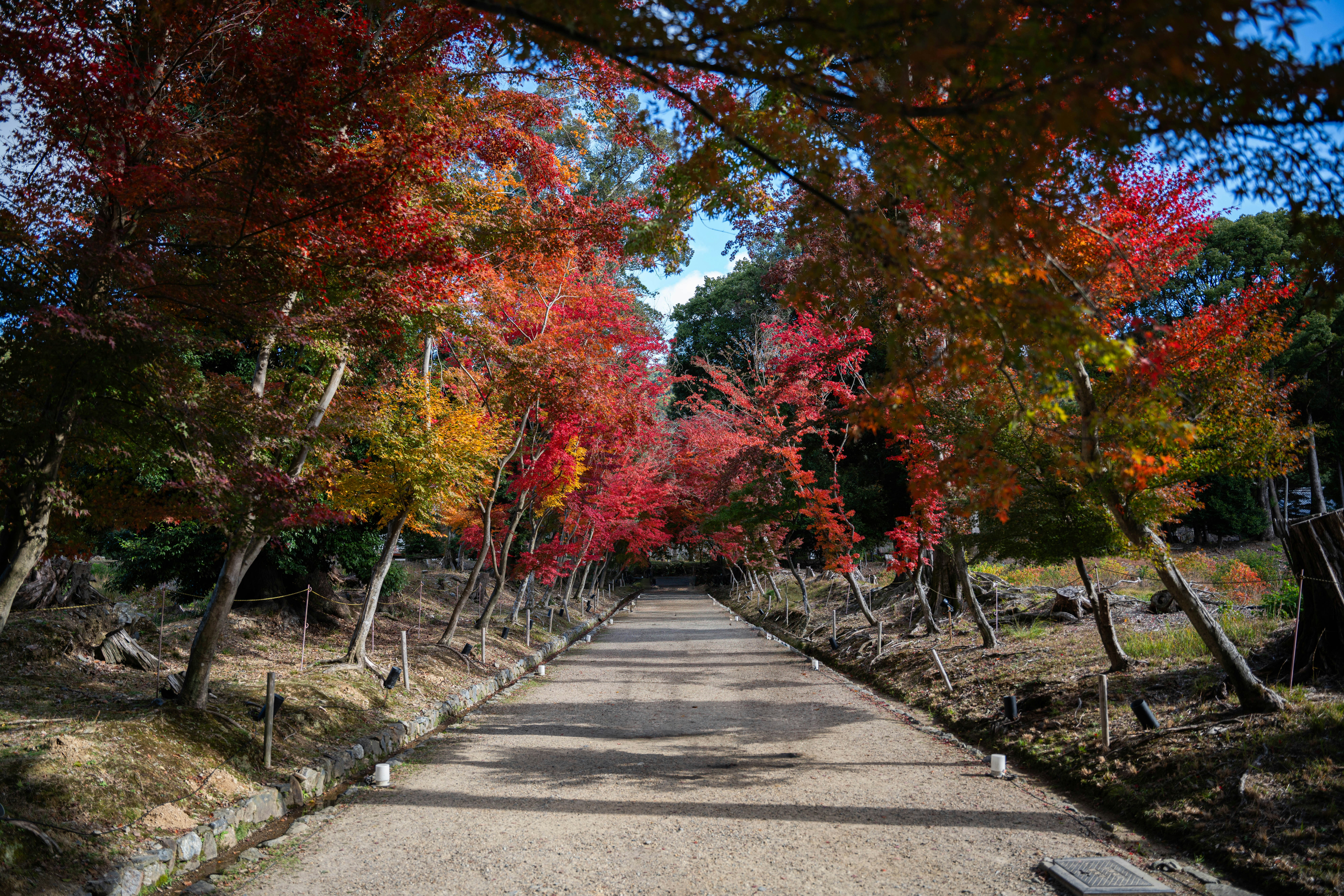 Photo by davidemrich