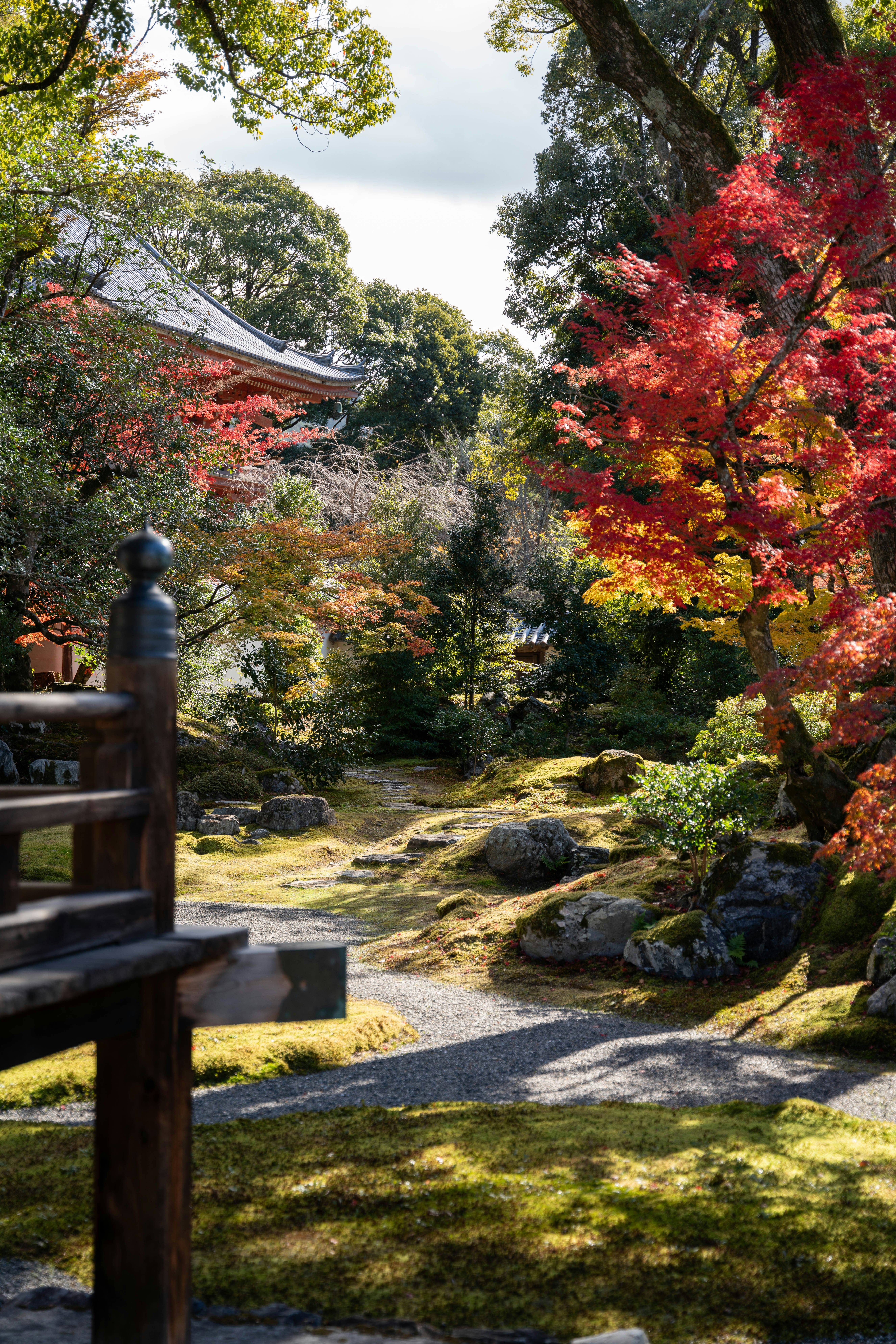 Photo by davidemrich