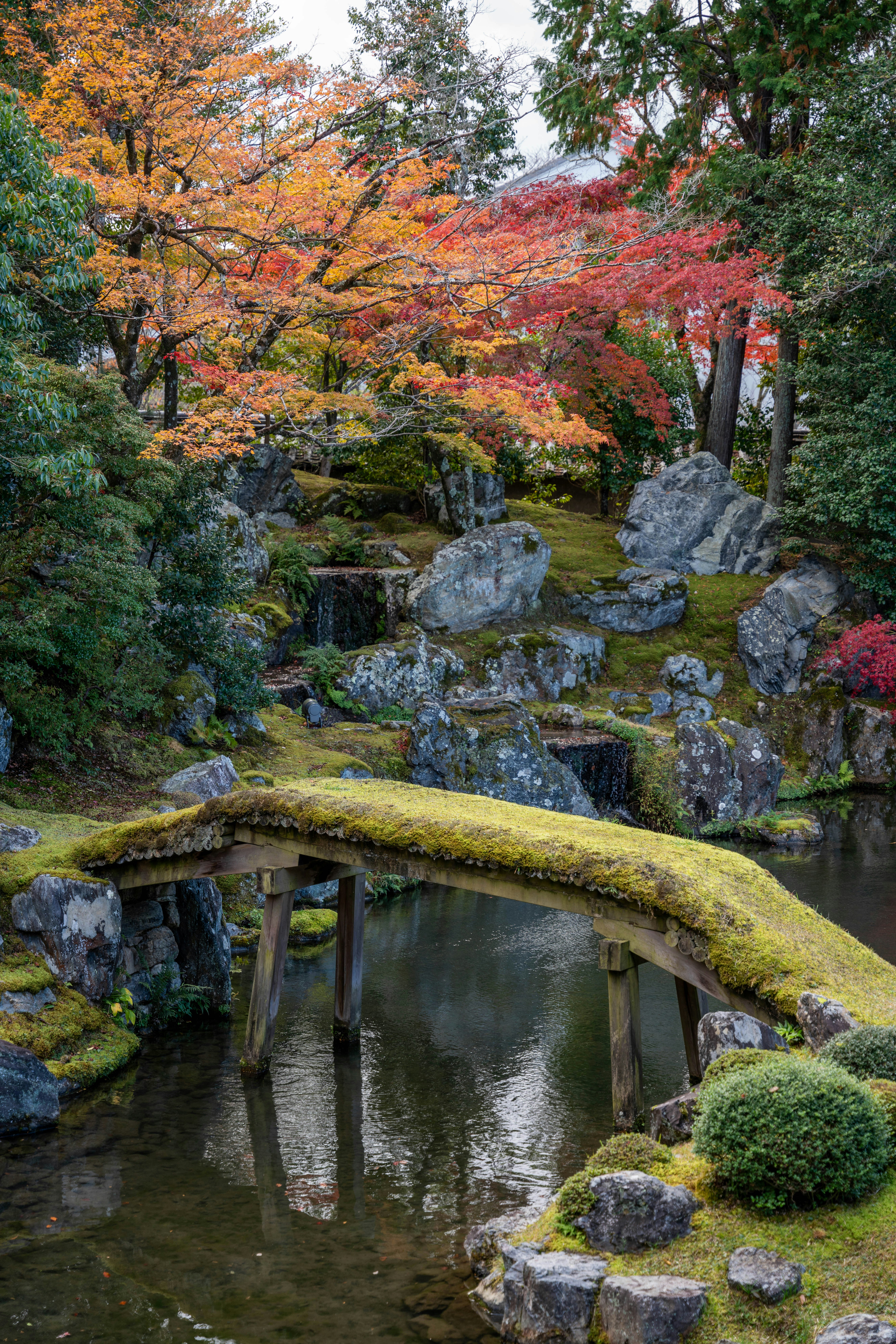 Photo by davidemrich