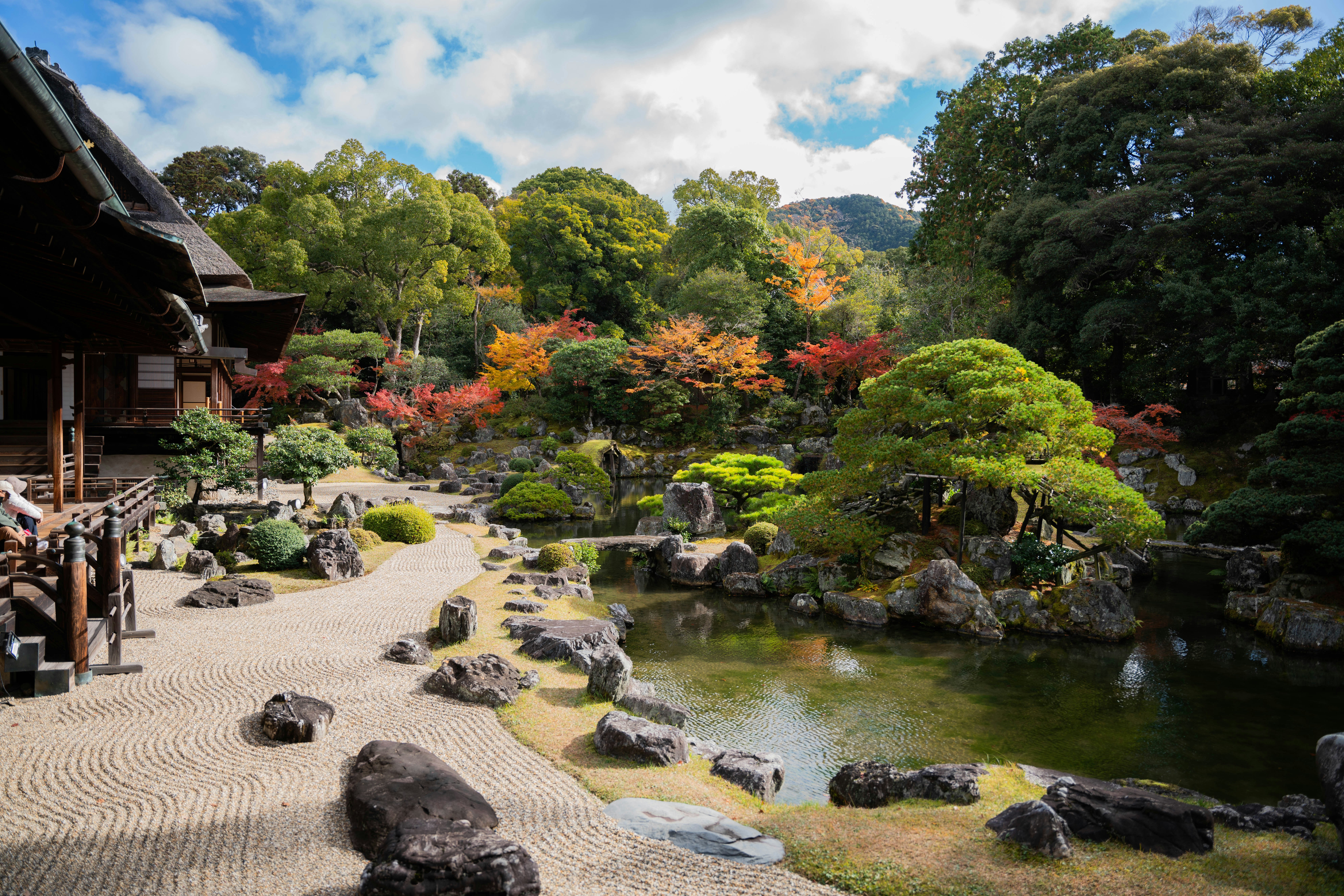 Photo by davidemrich