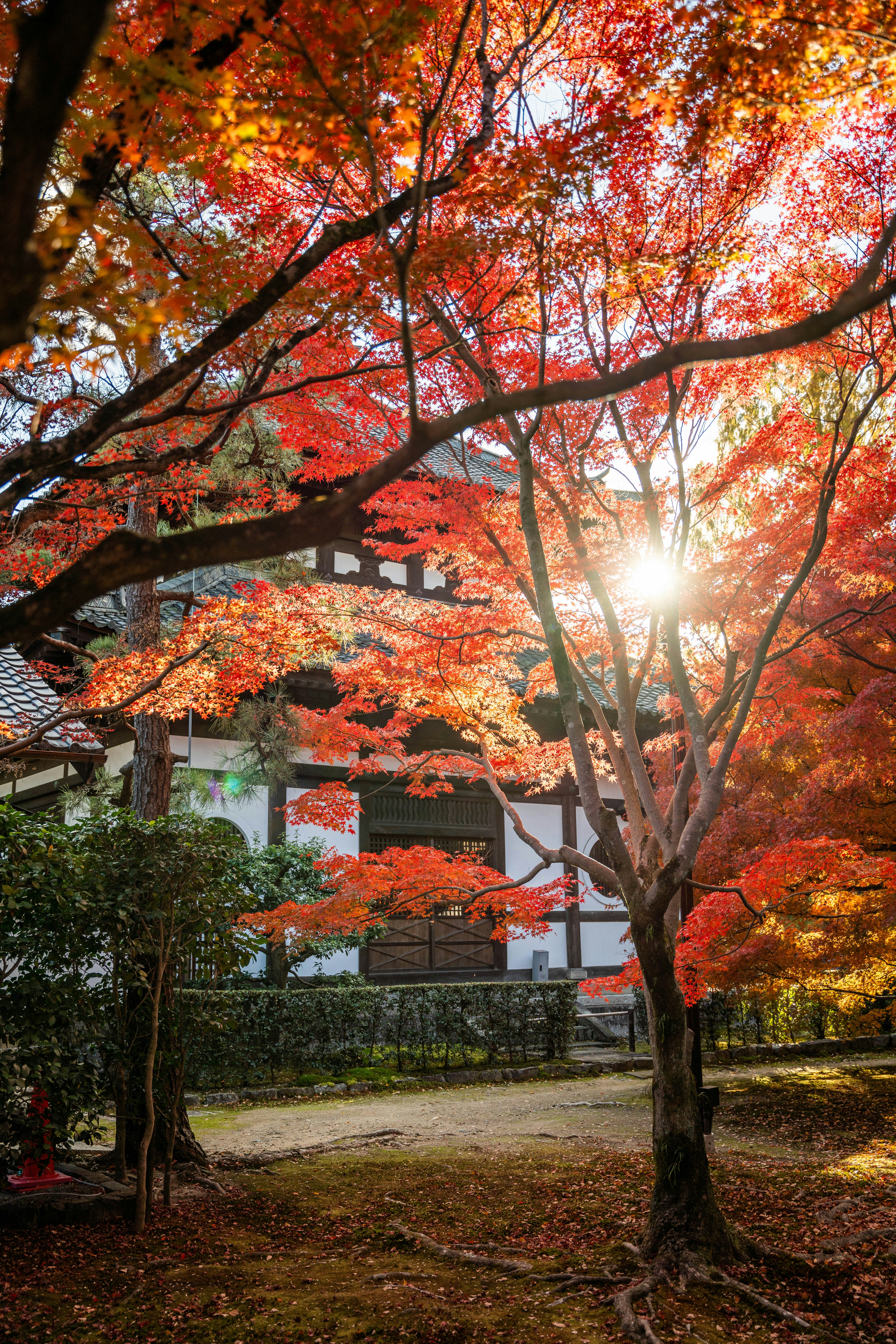 Photo by davidemrich