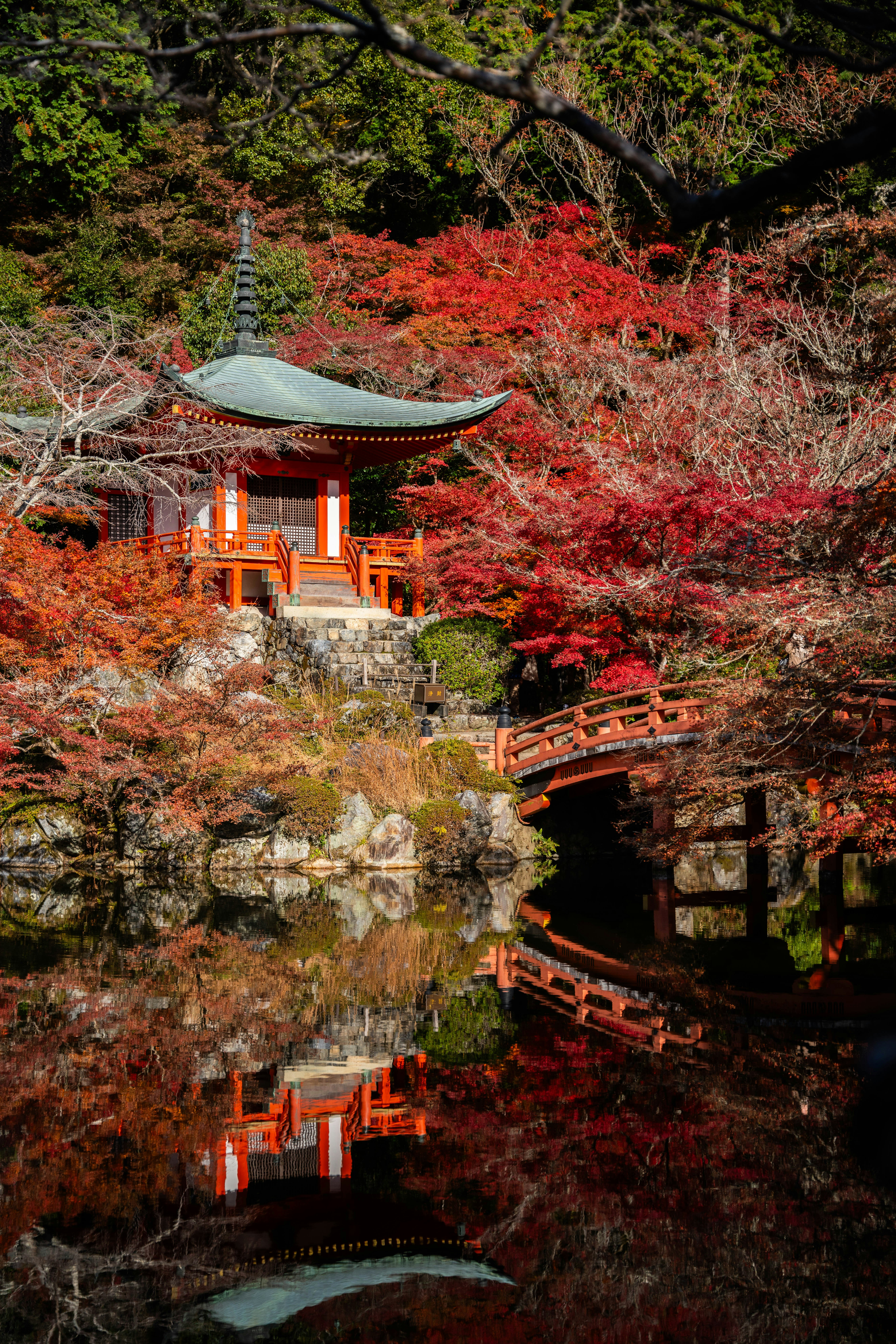 Photo by davidemrich