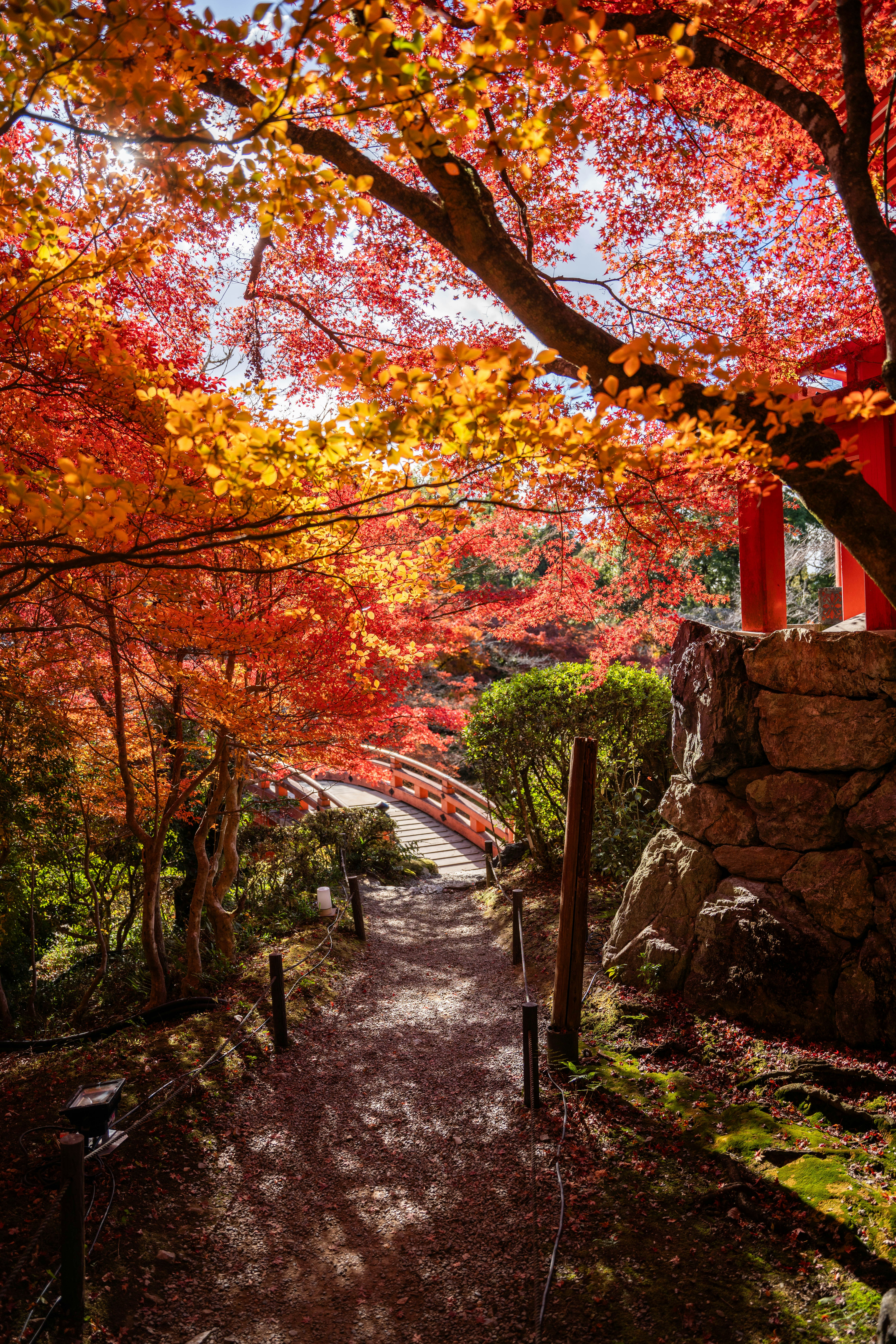 Photo by davidemrich