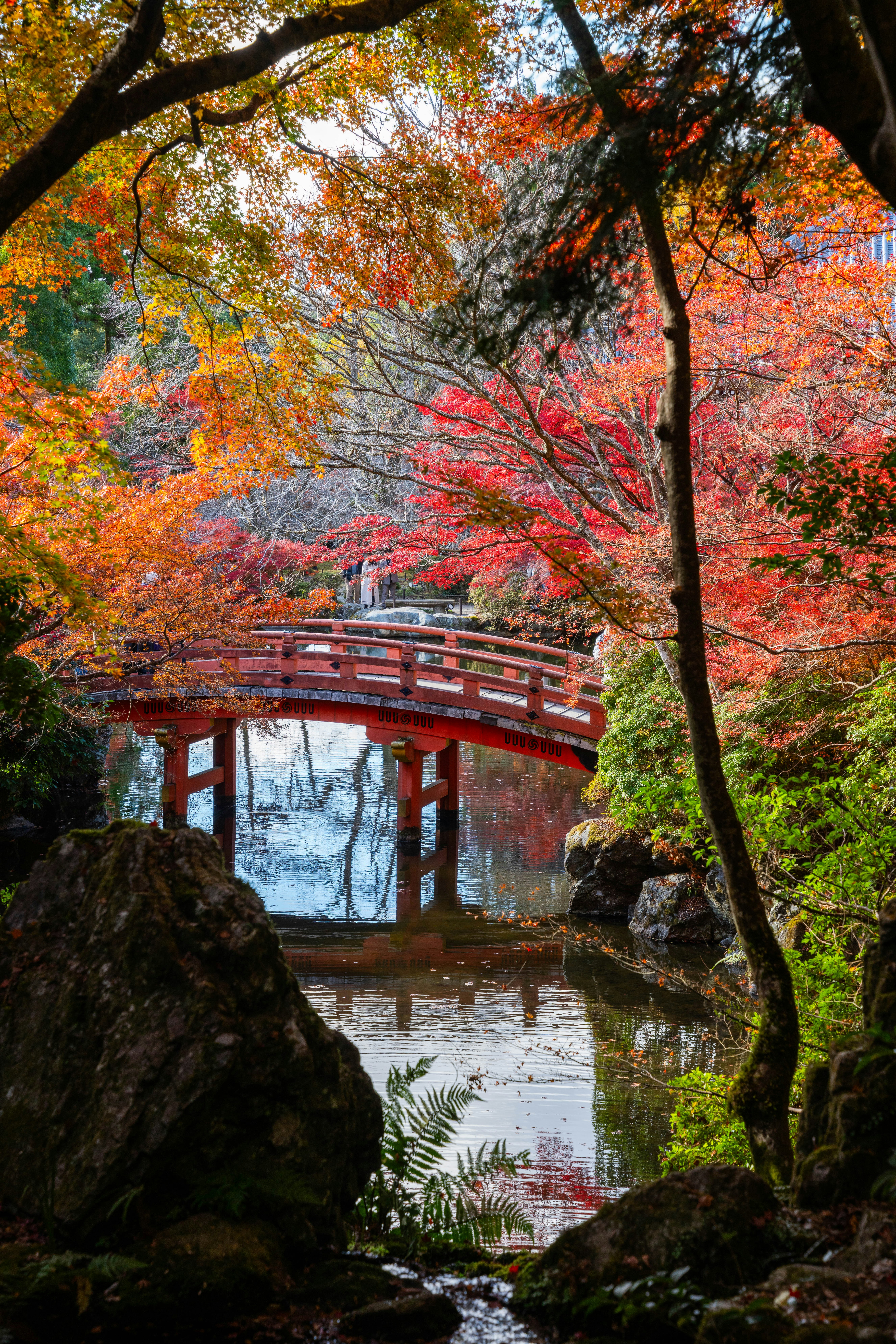 Photo by davidemrich