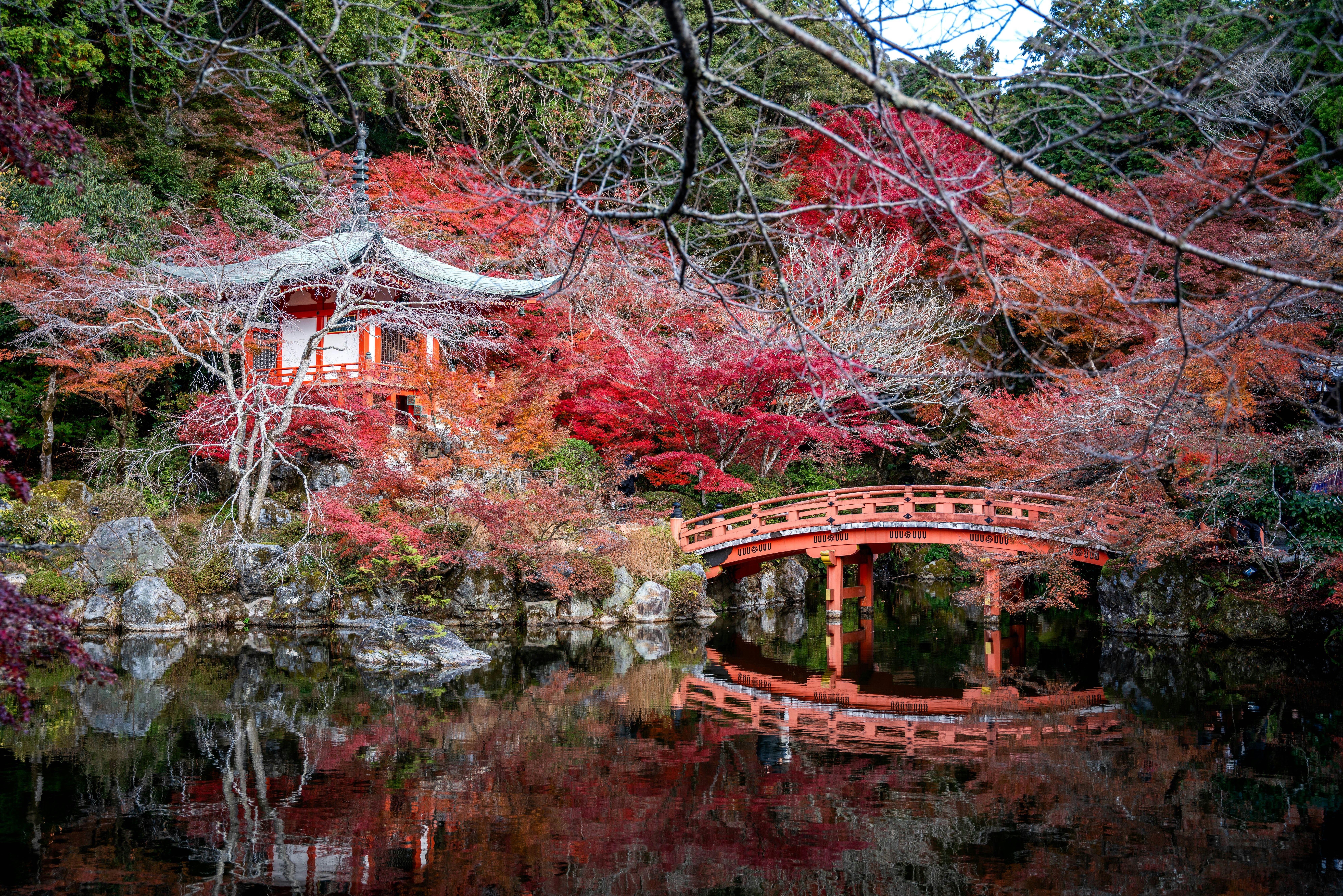 Photo by davidemrich