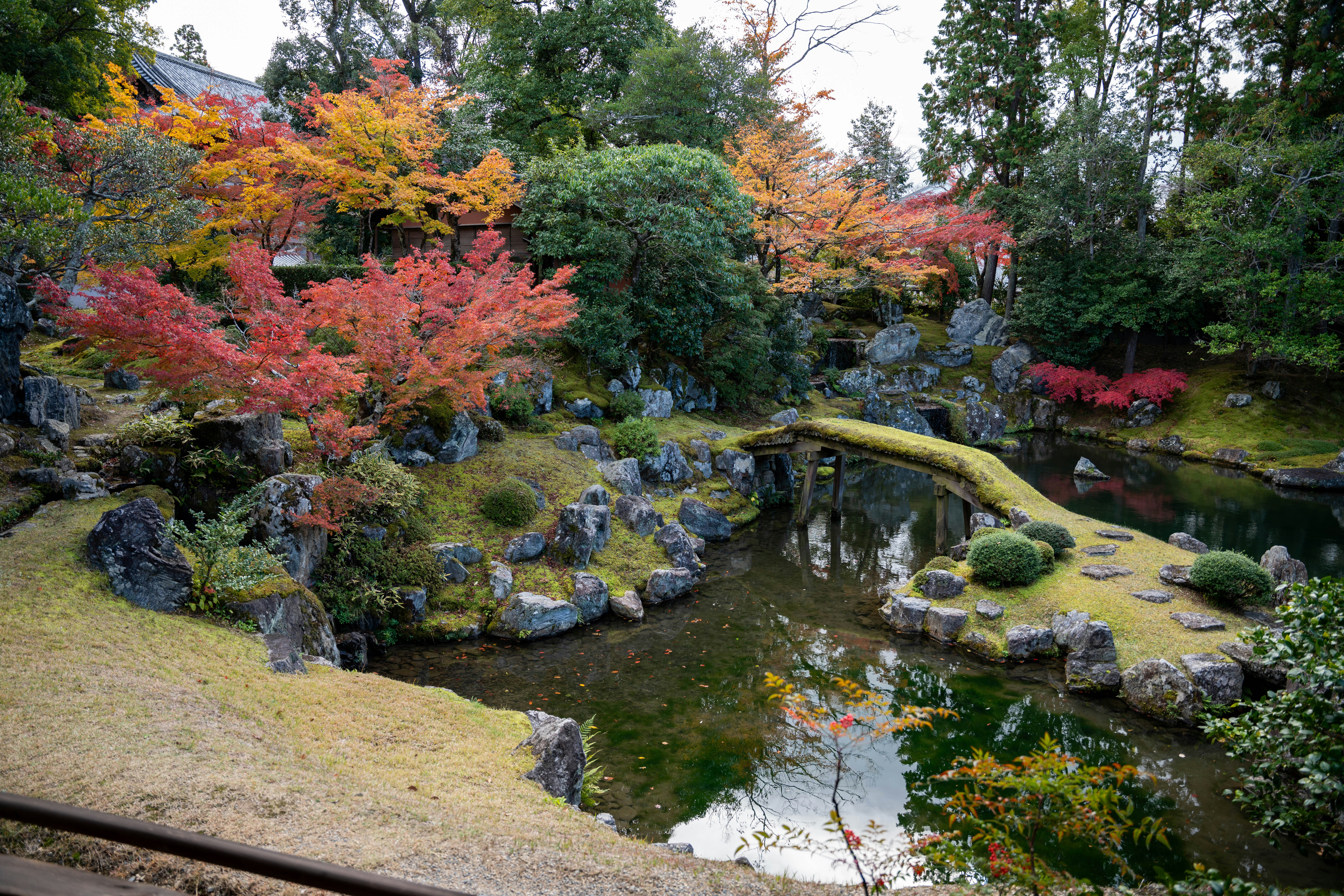 Photo by davidemrich