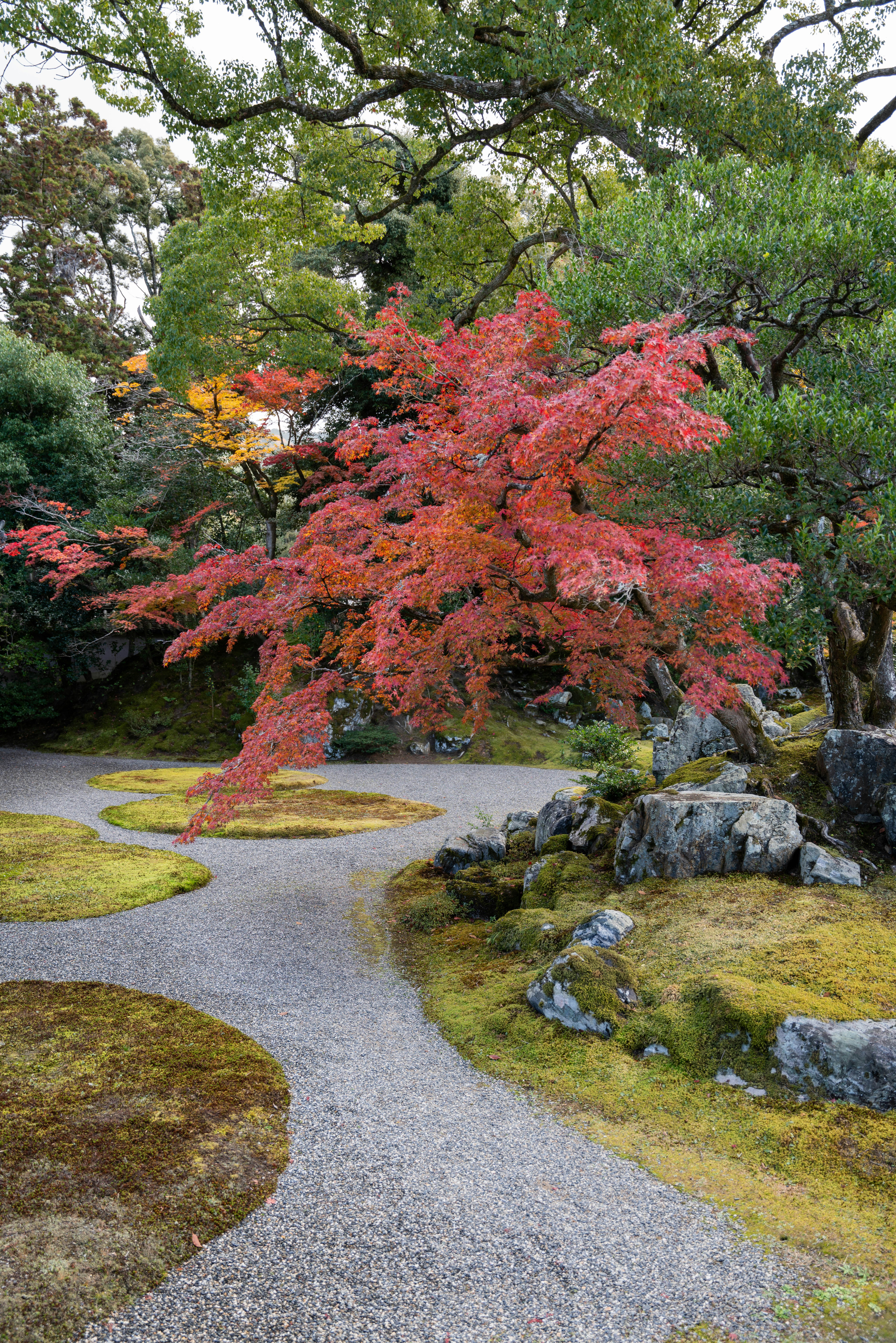 Photo by davidemrich