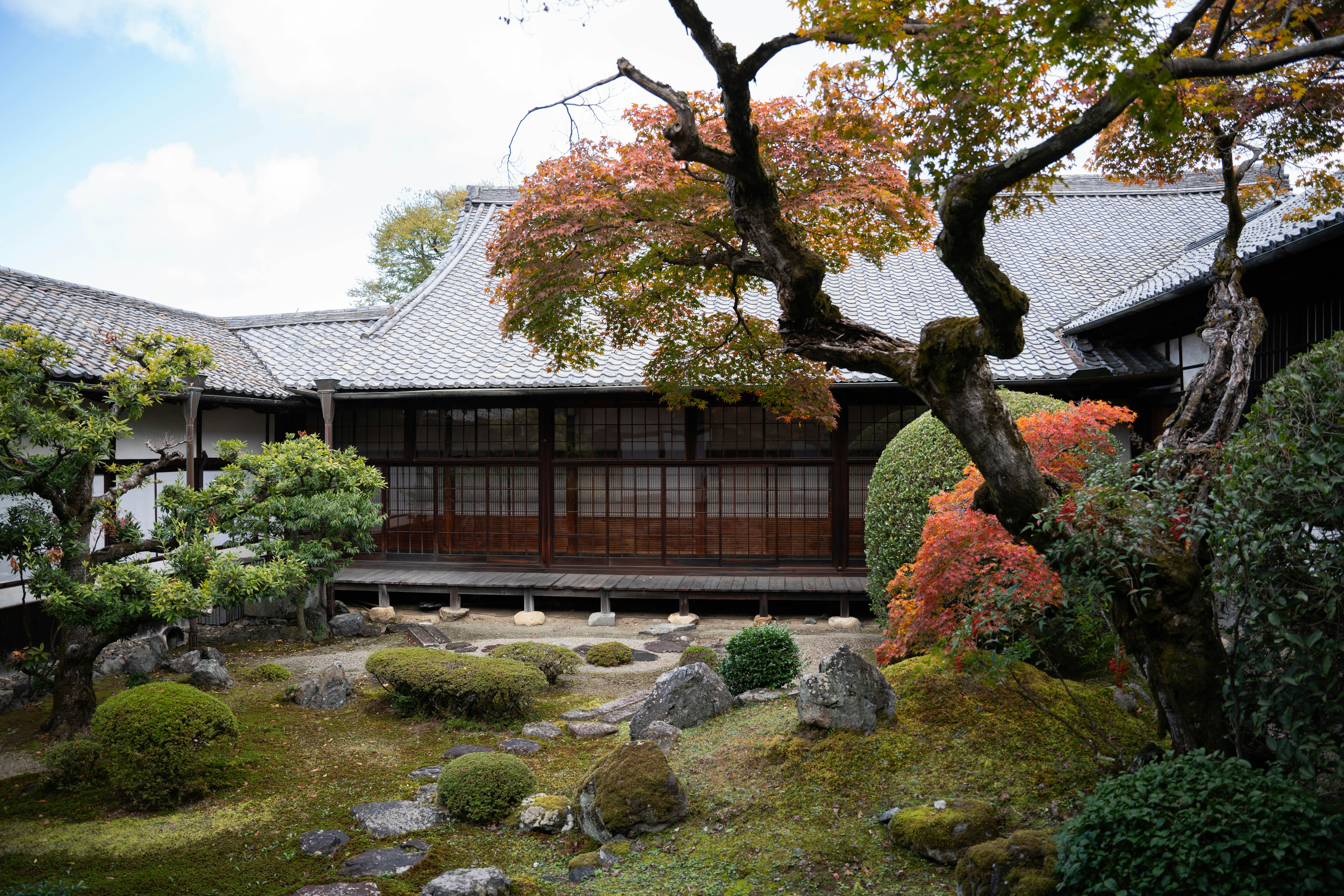 Photo by davidemrich