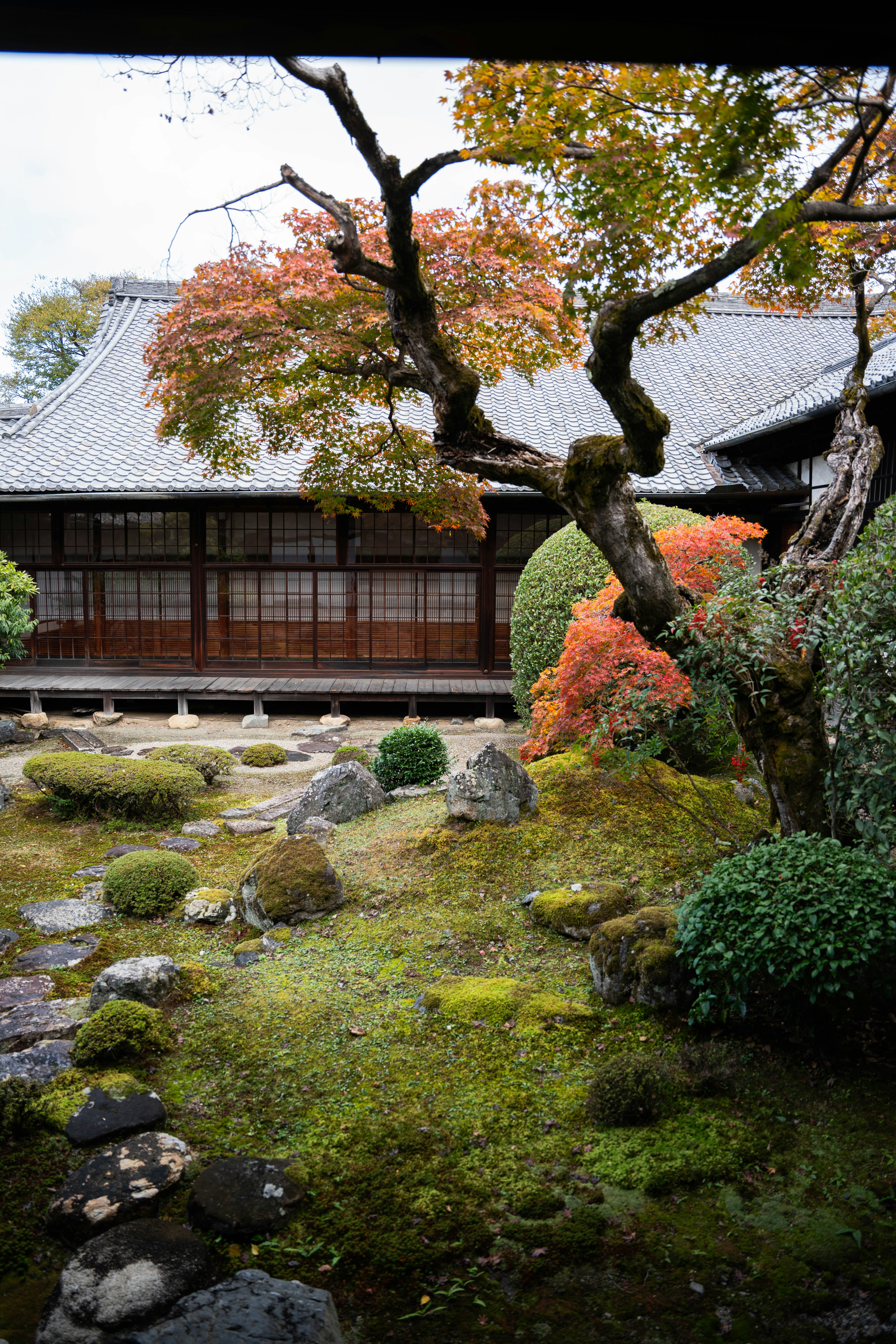 Photo by davidemrich