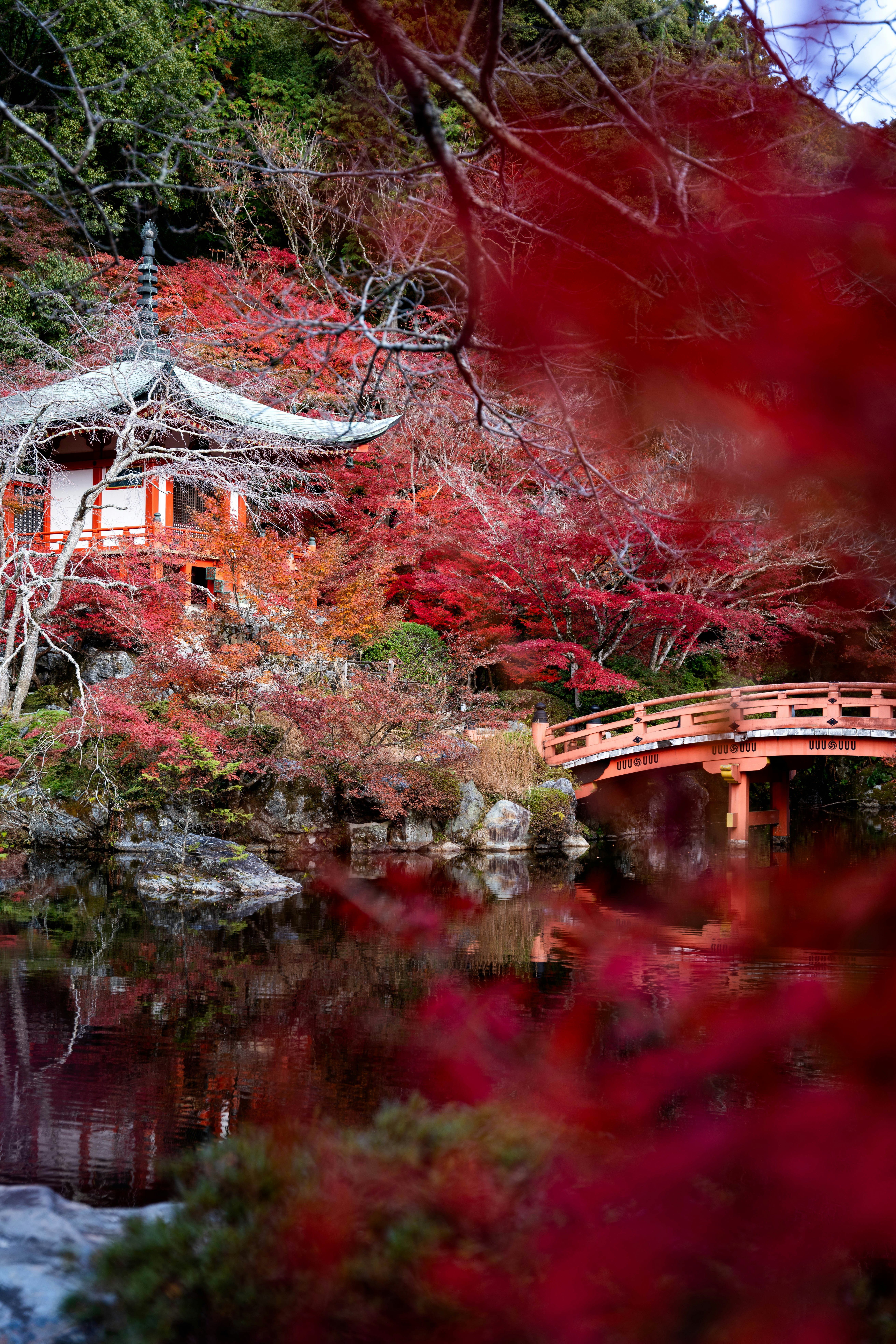 Photo by davidemrich