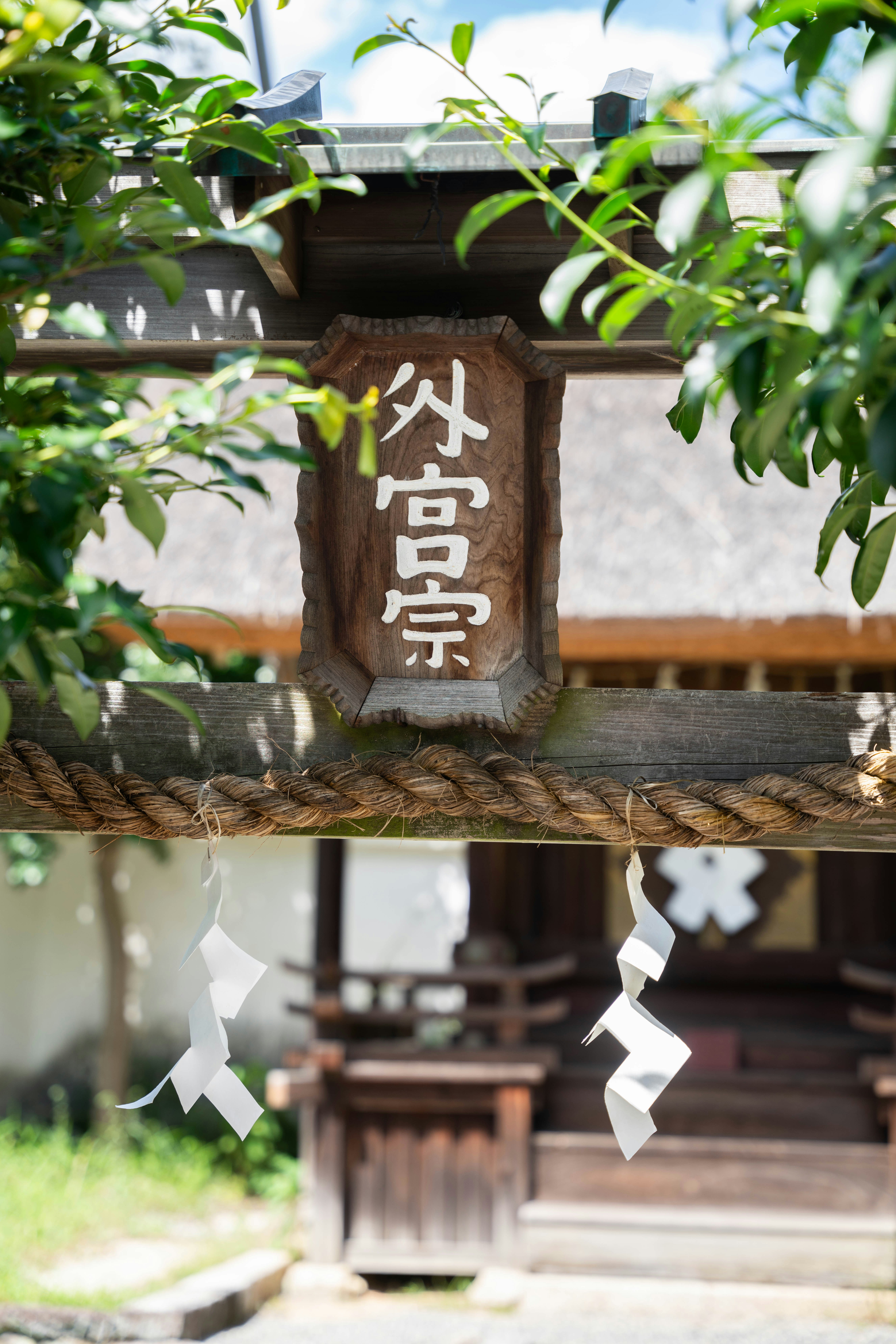 Photo by davidemrich