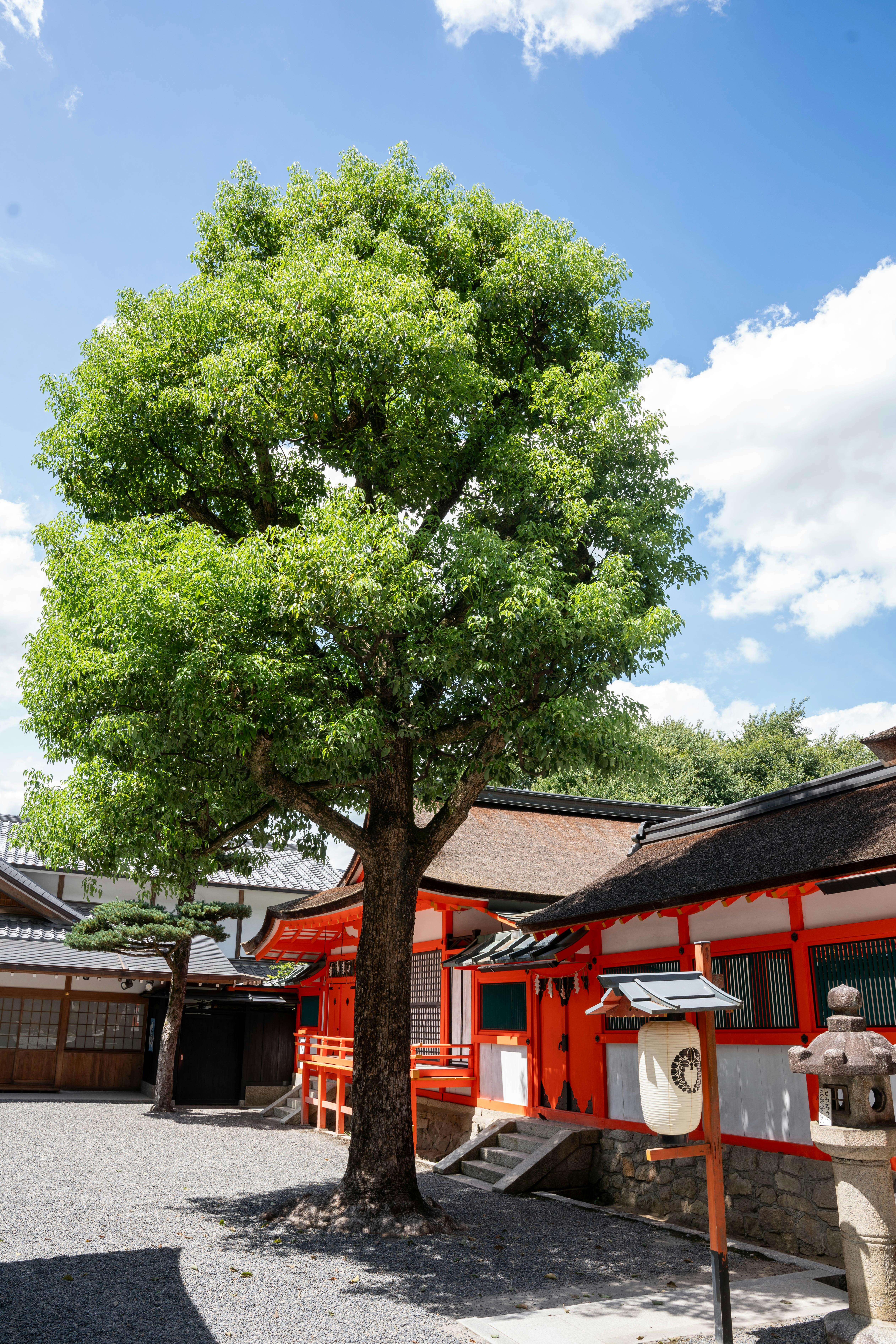 Photo by davidemrich