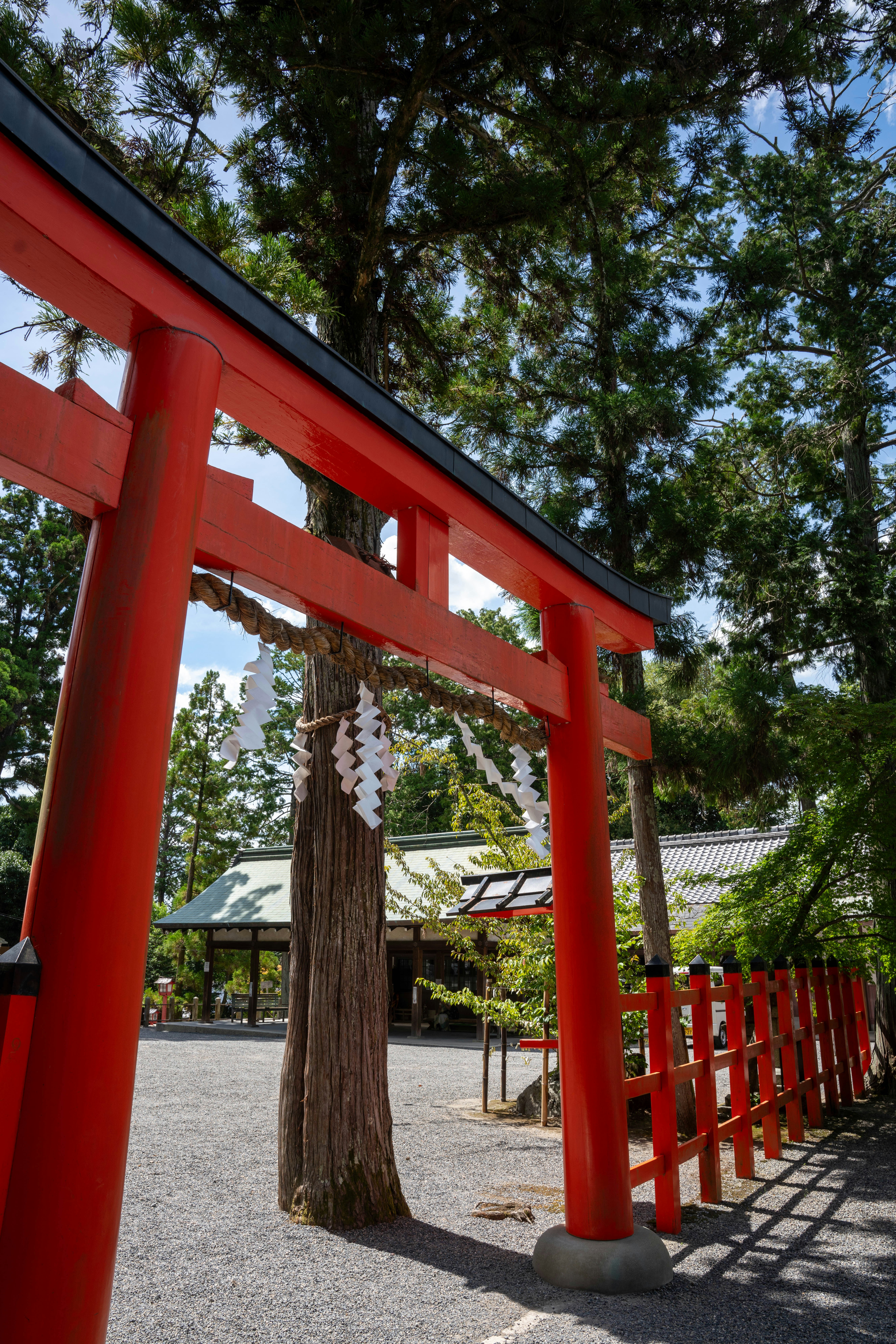 Photo by davidemrich