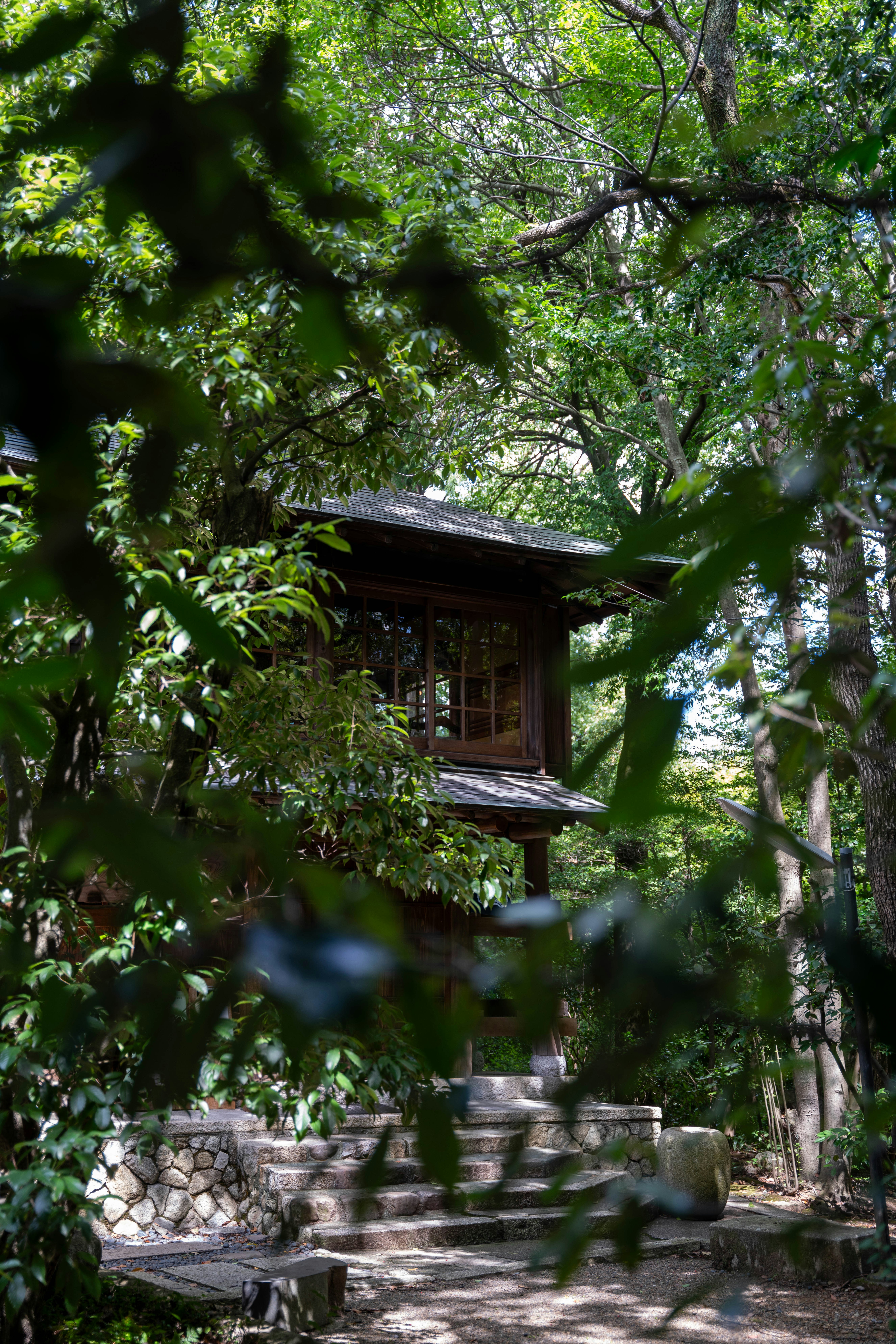 Photo by davidemrich